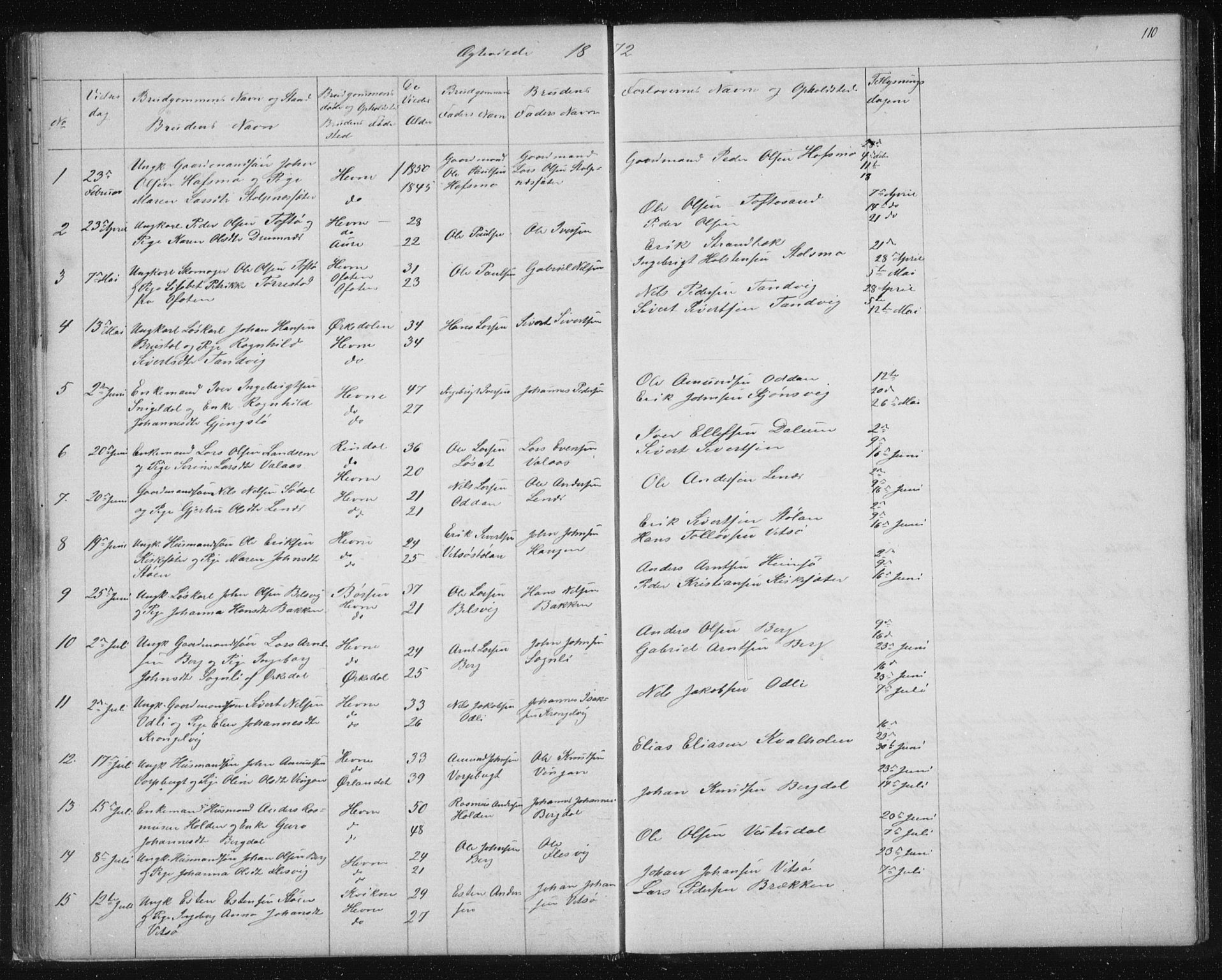 Ministerialprotokoller, klokkerbøker og fødselsregistre - Sør-Trøndelag, SAT/A-1456/630/L0503: Parish register (copy) no. 630C01, 1869-1878, p. 110
