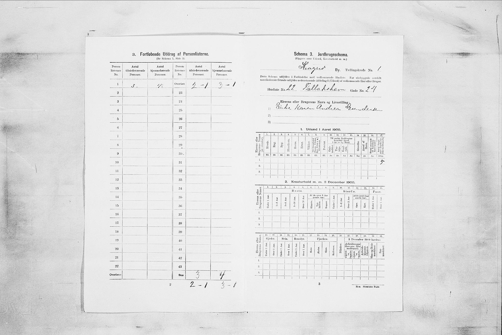 SAKO, 1900 census for Kragerø, 1900, p. 175