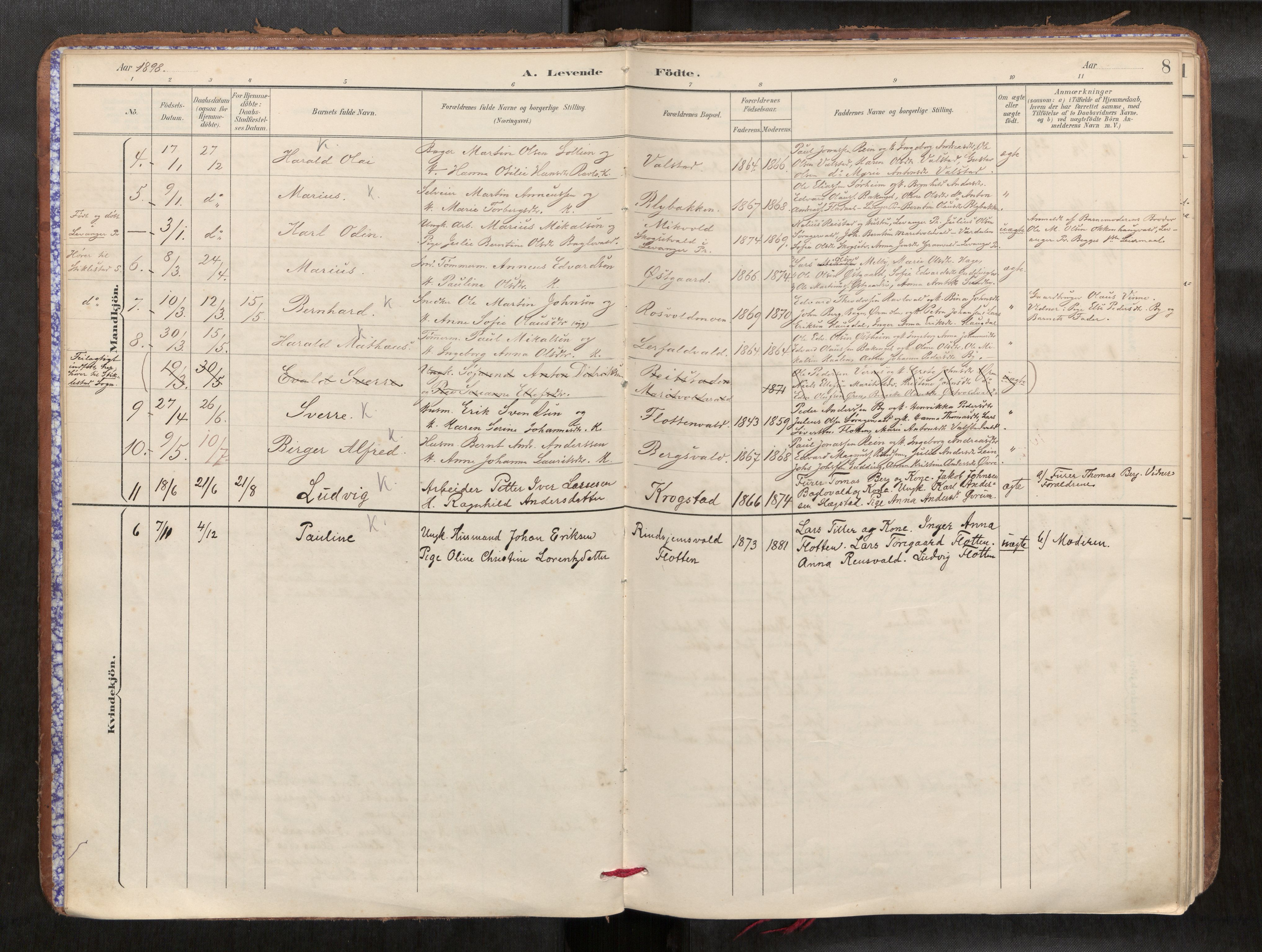 Verdal sokneprestkontor, SAT/A-1156/2/H/Haa/L0002: Parish register (official) no. 2, 1891-1907, p. 8
