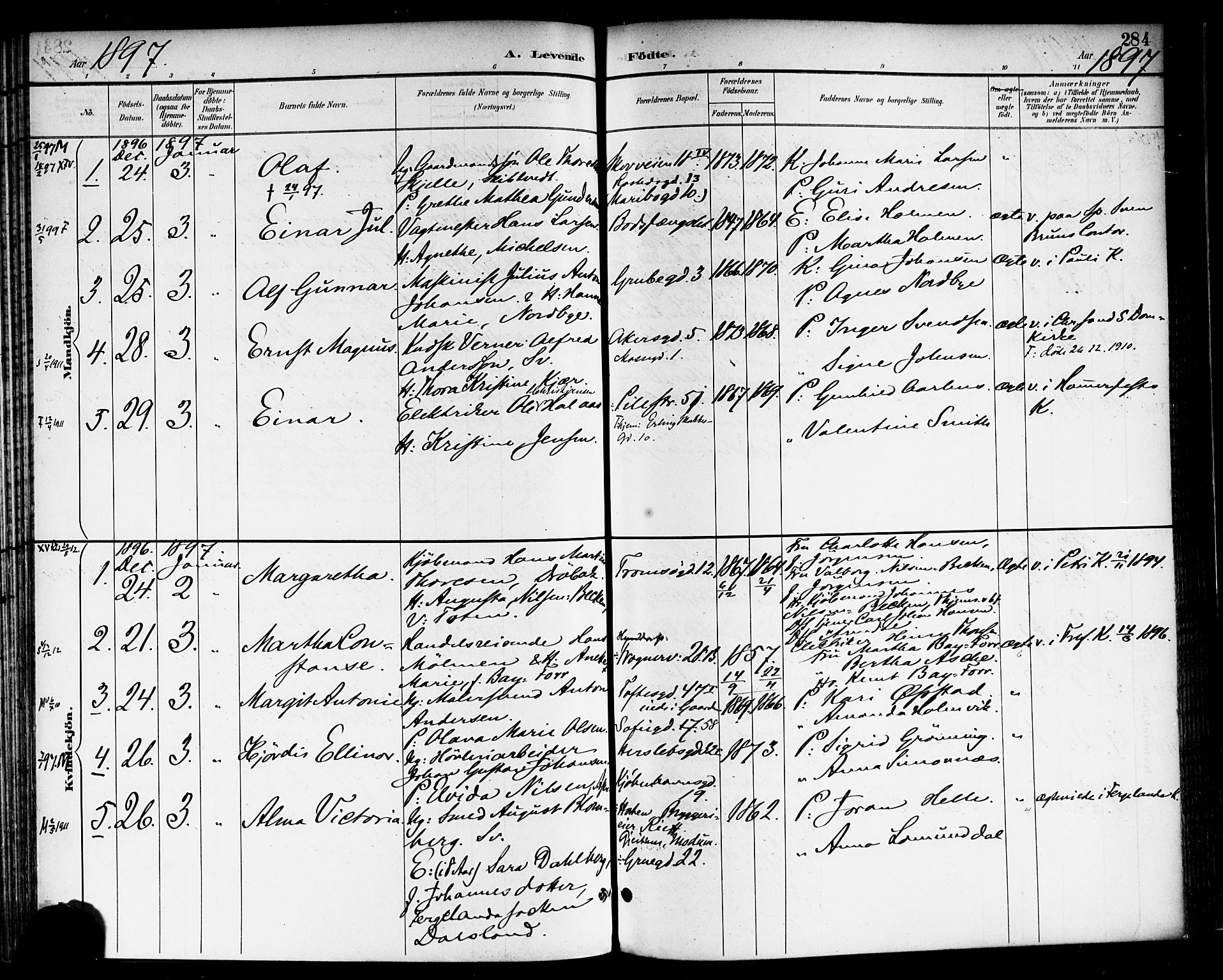 Rikshospitalet prestekontor Kirkebøker, SAO/A-10309b/F/L0009: Parish register (official) no. 9, 1894-1897, p. 284