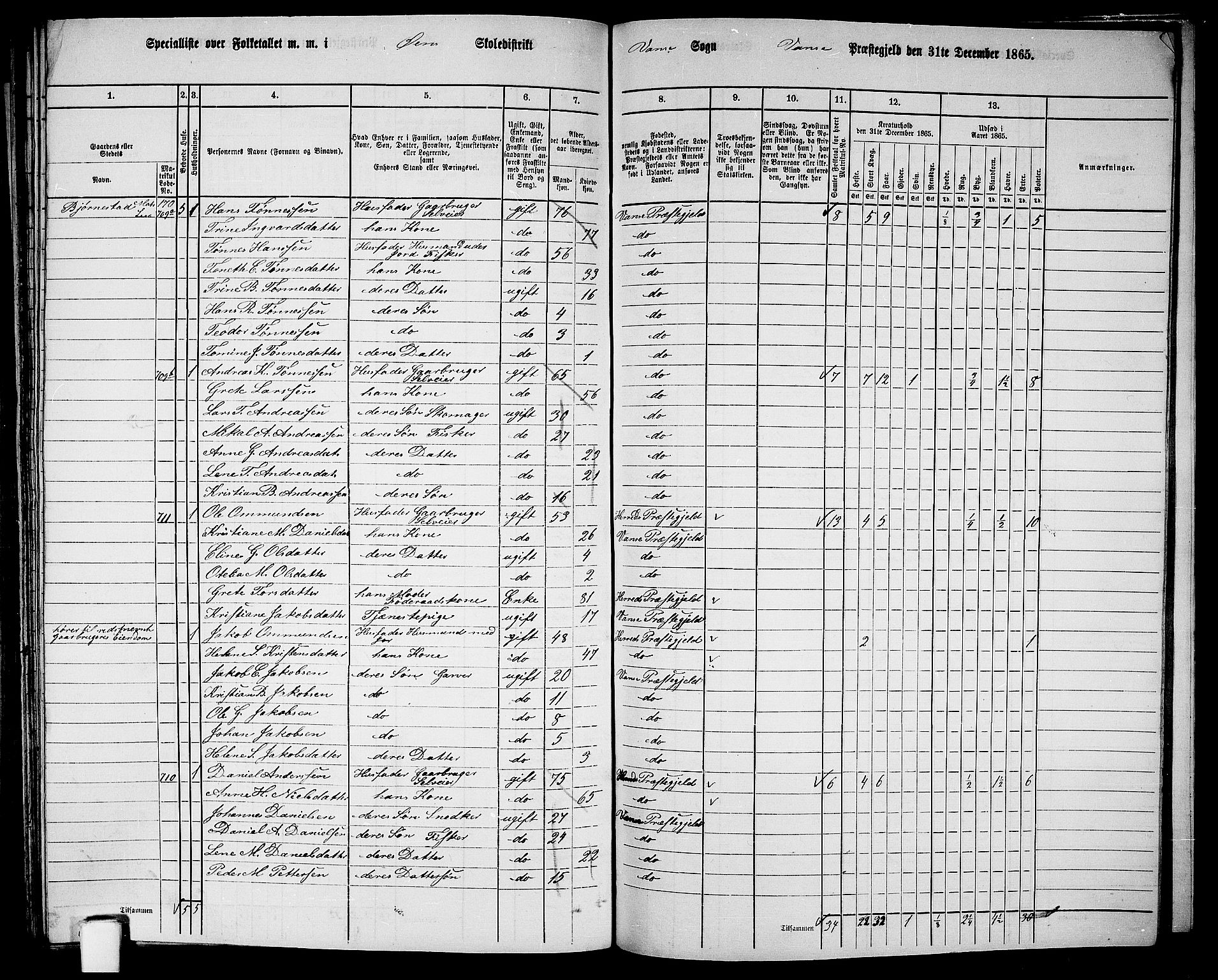 RA, 1865 census for Vanse/Vanse og Farsund, 1865, p. 251