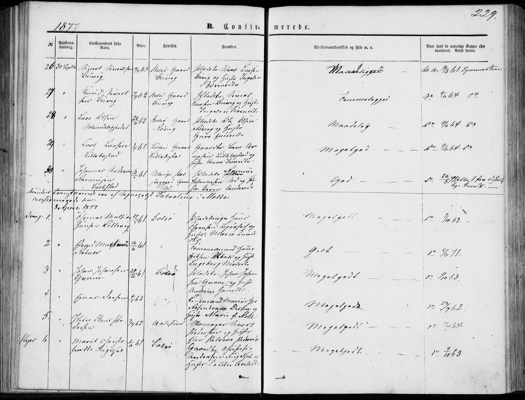 Ministerialprotokoller, klokkerbøker og fødselsregistre - Møre og Romsdal, AV/SAT-A-1454/555/L0655: Parish register (official) no. 555A05, 1869-1886, p. 229