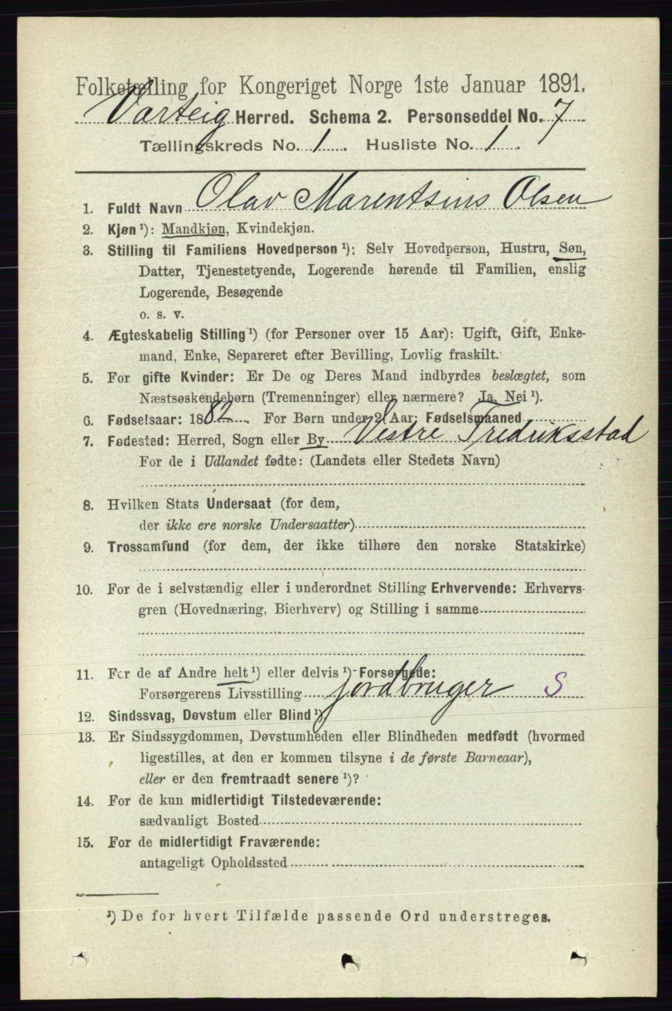 RA, 1891 census for 0114 Varteig, 1891, p. 99