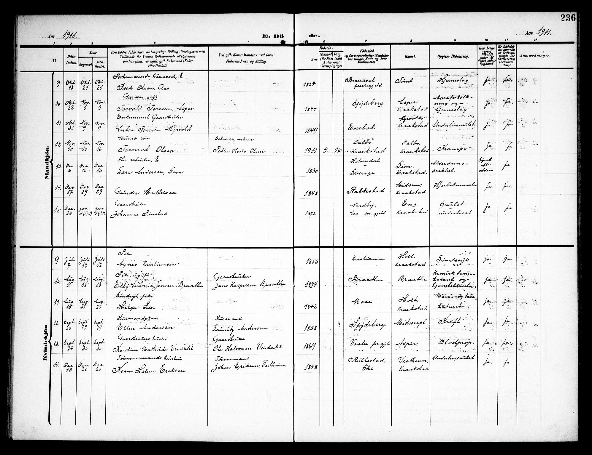 Kråkstad prestekontor Kirkebøker, AV/SAO-A-10125a/G/Ga/L0002: Parish register (copy) no. I 2, 1905-1934, p. 236