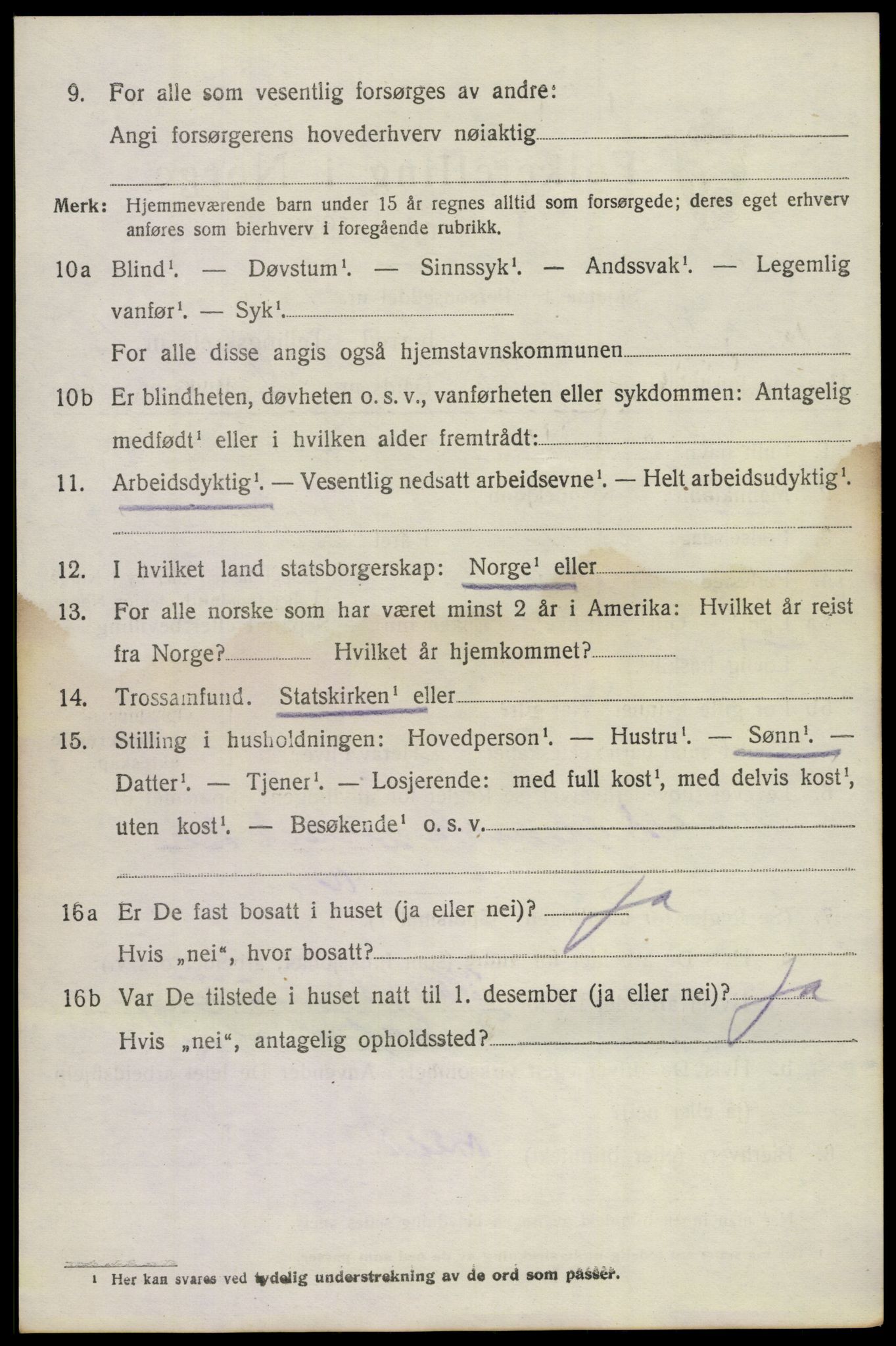 SAKO, 1920 census for Holla, 1920, p. 6604