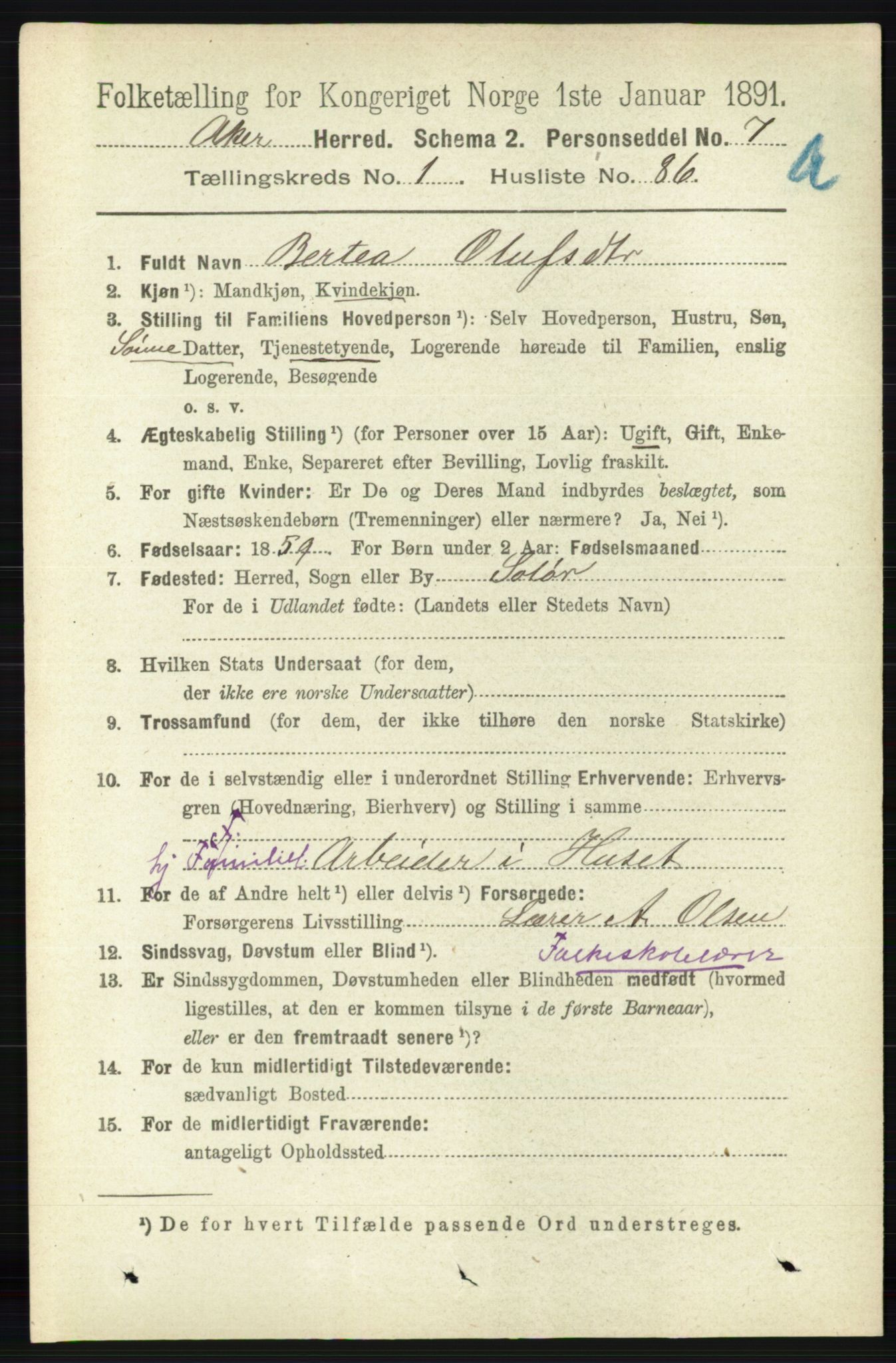 RA, 1891 census for 0218 Aker, 1891, p. 1175