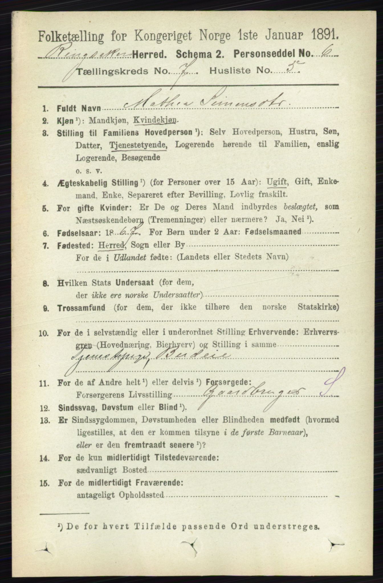 RA, 1891 census for 0412 Ringsaker, 1891, p. 3902