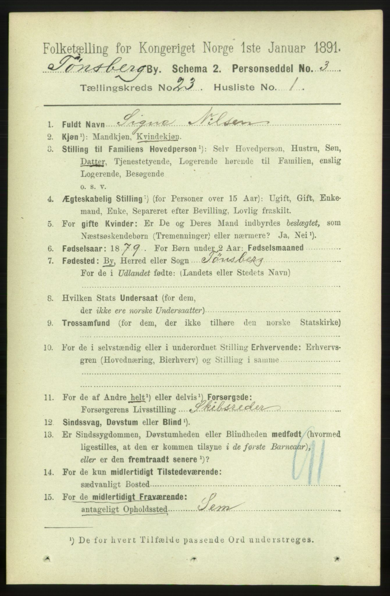 RA, 1891 census for 0705 Tønsberg, 1891, p. 6013