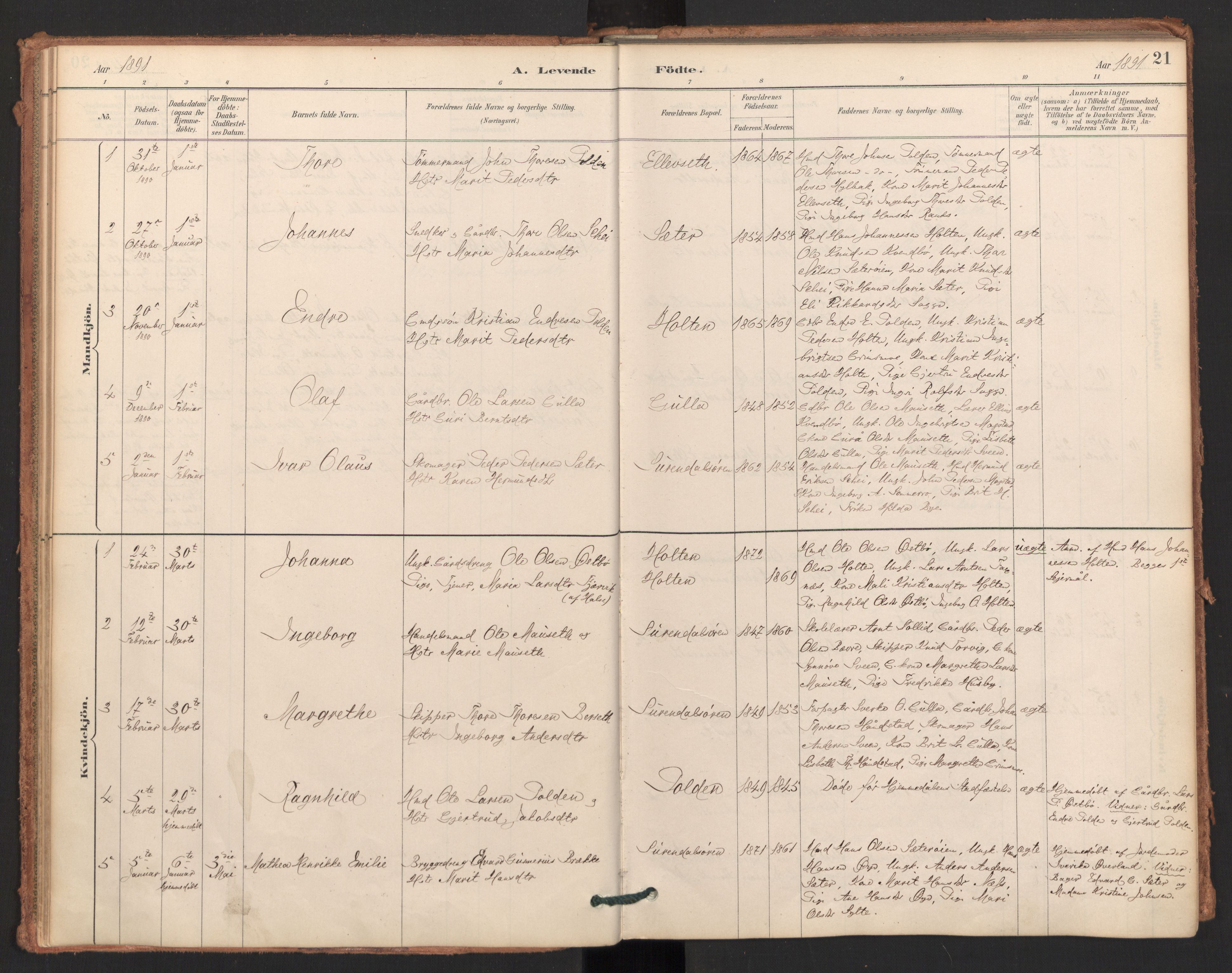 Ministerialprotokoller, klokkerbøker og fødselsregistre - Møre og Romsdal, AV/SAT-A-1454/596/L1056: Parish register (official) no. 596A01, 1885-1900, p. 21