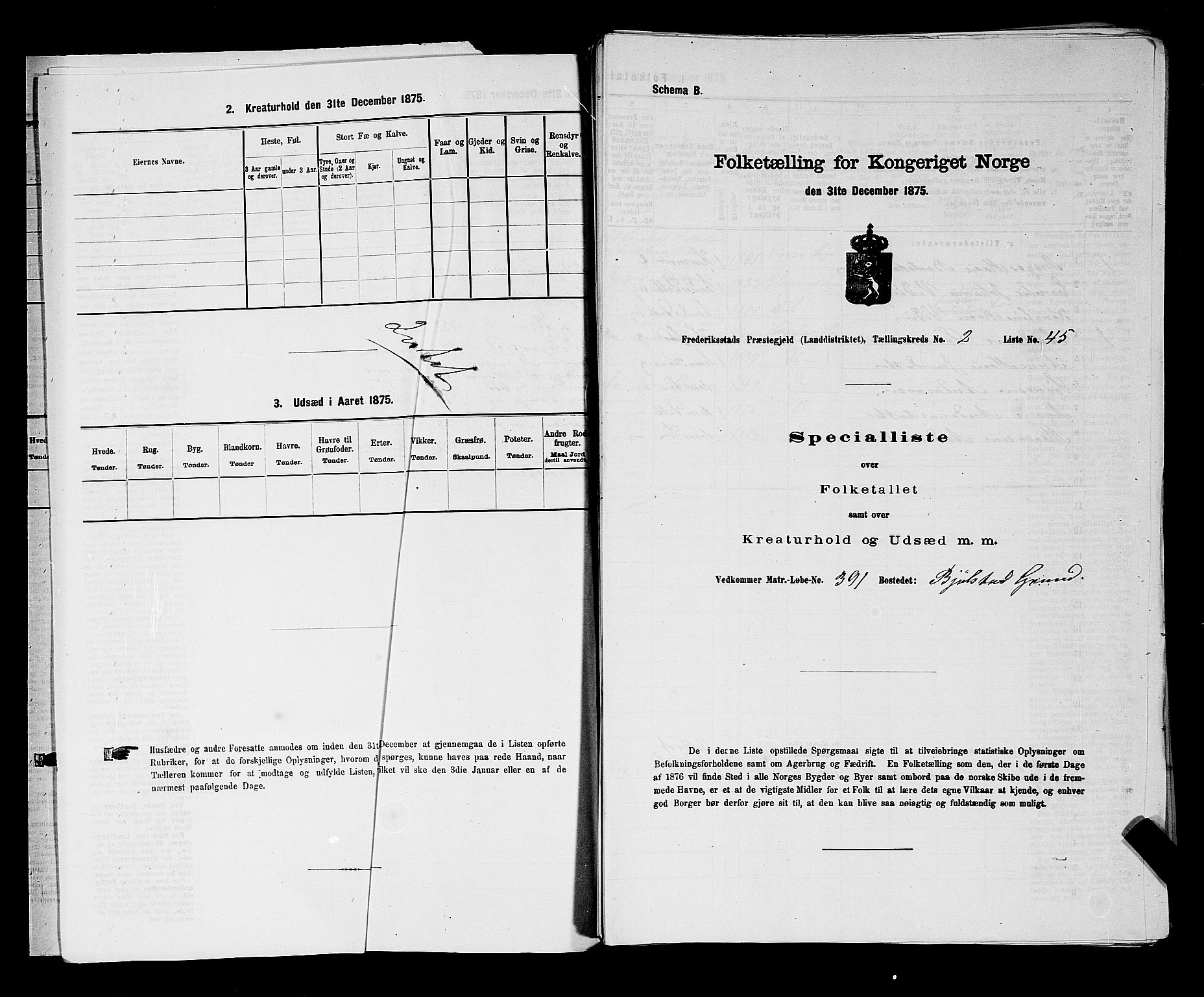 RA, 1875 census for 0132L Fredrikstad/Glemmen, 1875, p. 248