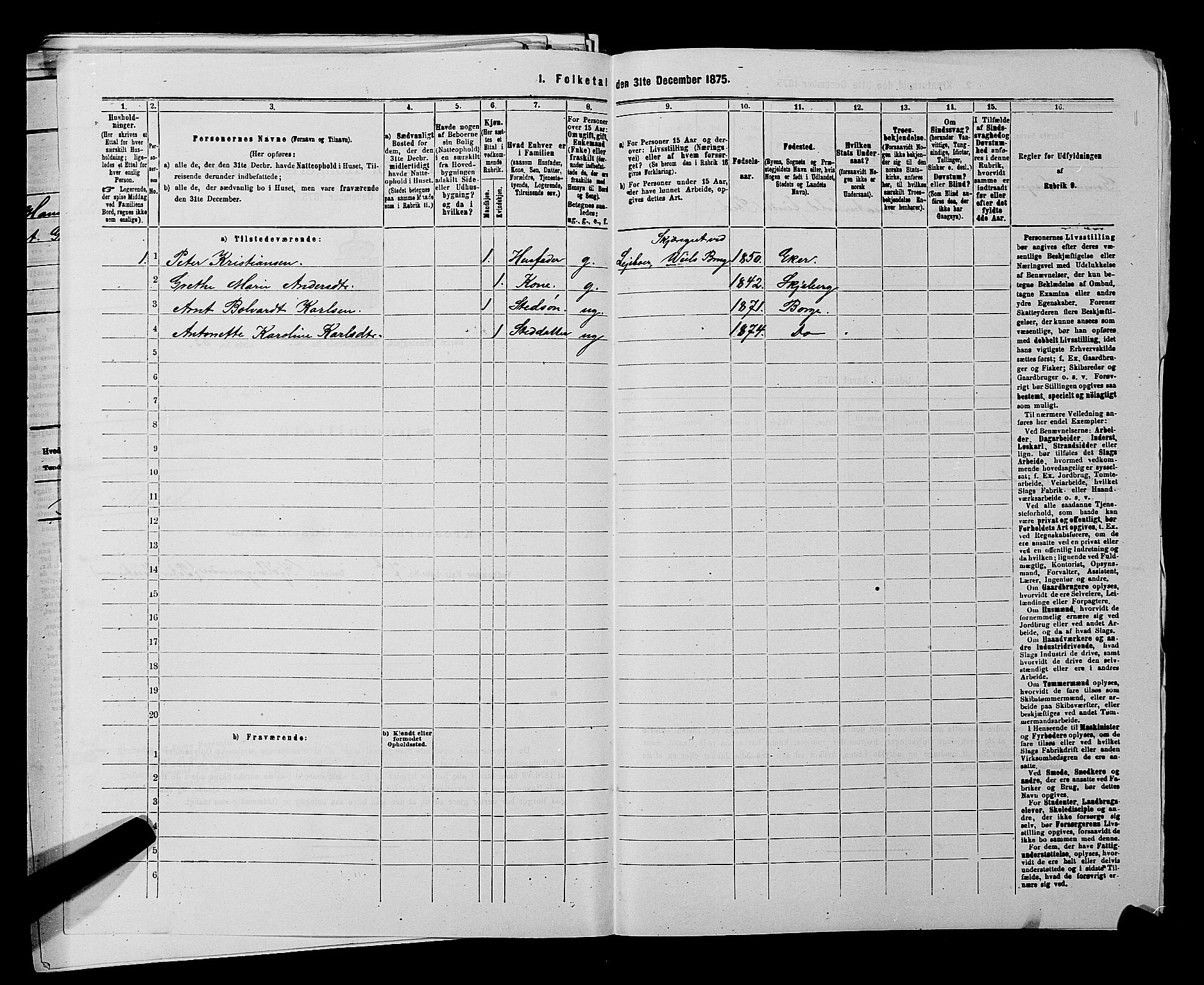 RA, 1875 census for 0113P Borge, 1875, p. 378