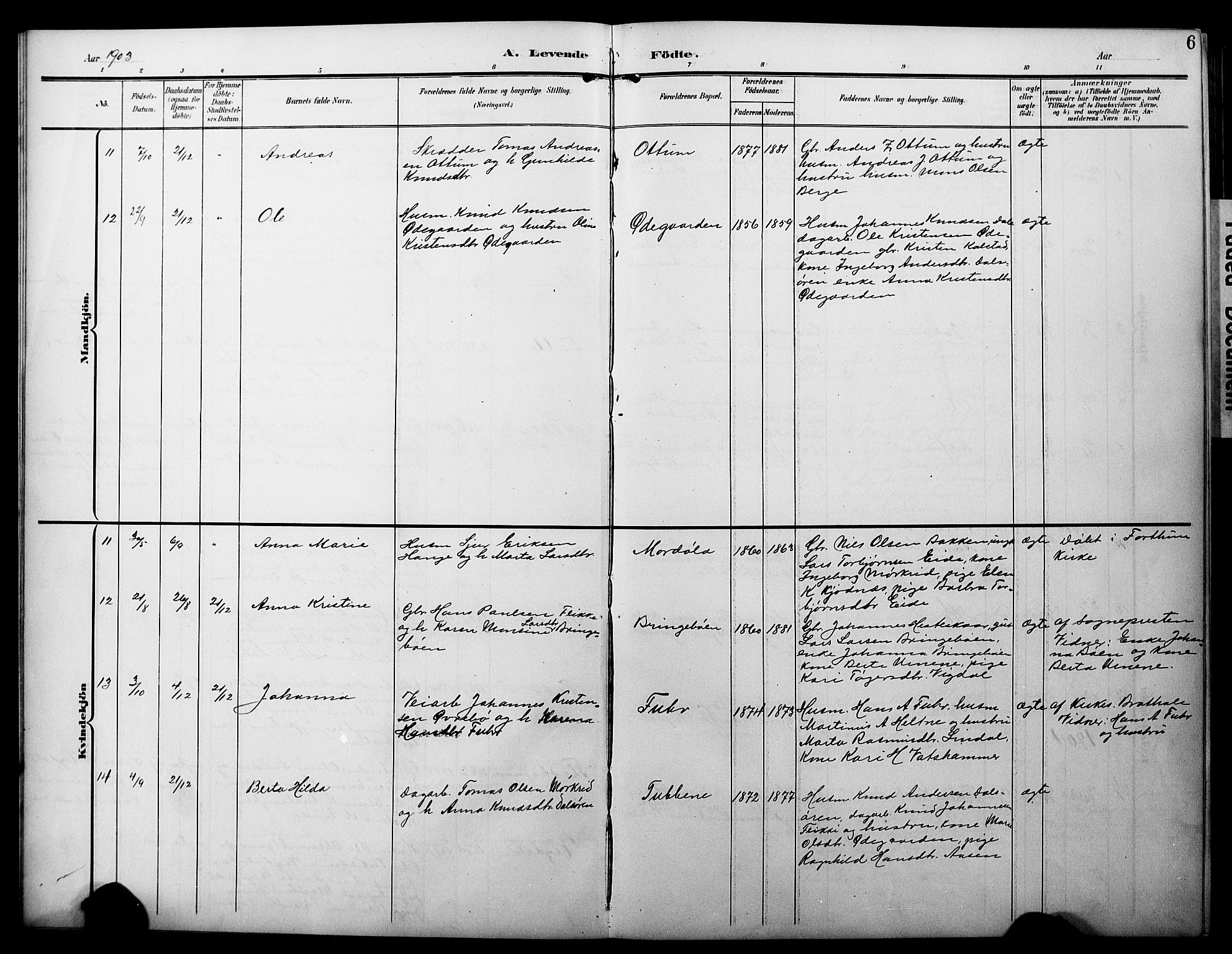 Luster sokneprestembete, SAB/A-81101/H/Hab/Haba/L0001: Parish register (copy) no. A 1, 1903-1930, p. 6