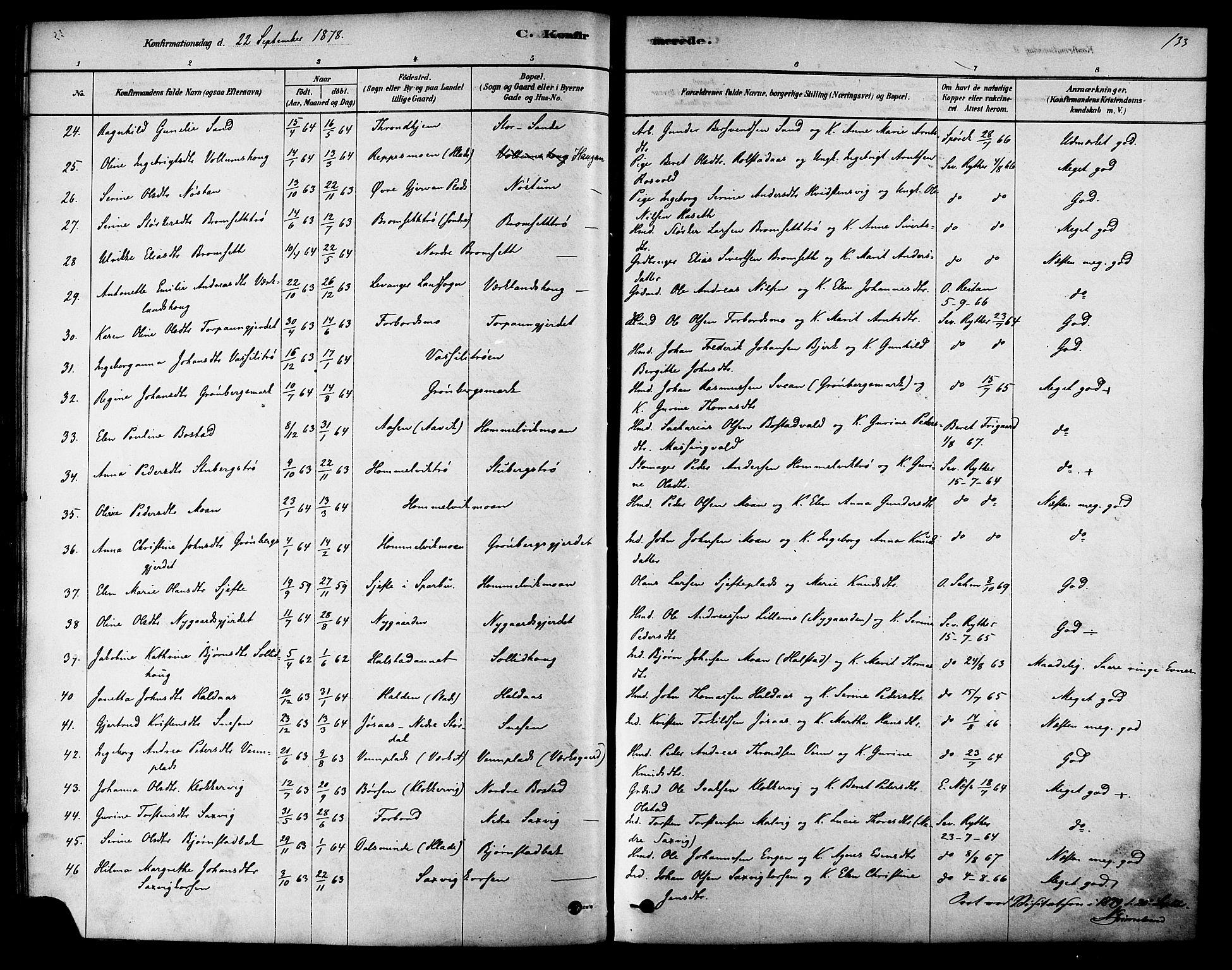 Ministerialprotokoller, klokkerbøker og fødselsregistre - Sør-Trøndelag, AV/SAT-A-1456/616/L0410: Parish register (official) no. 616A07, 1878-1893, p. 133