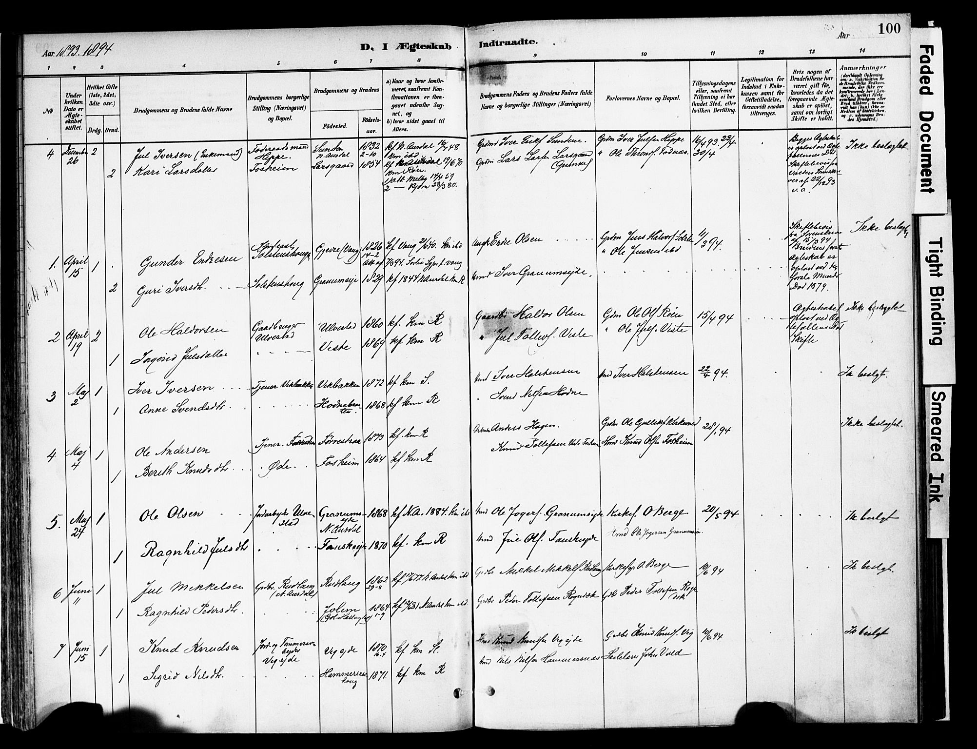 Vestre Slidre prestekontor, SAH/PREST-136/H/Ha/Haa/L0006: Parish register (official) no. 6, 1881-1912, p. 100