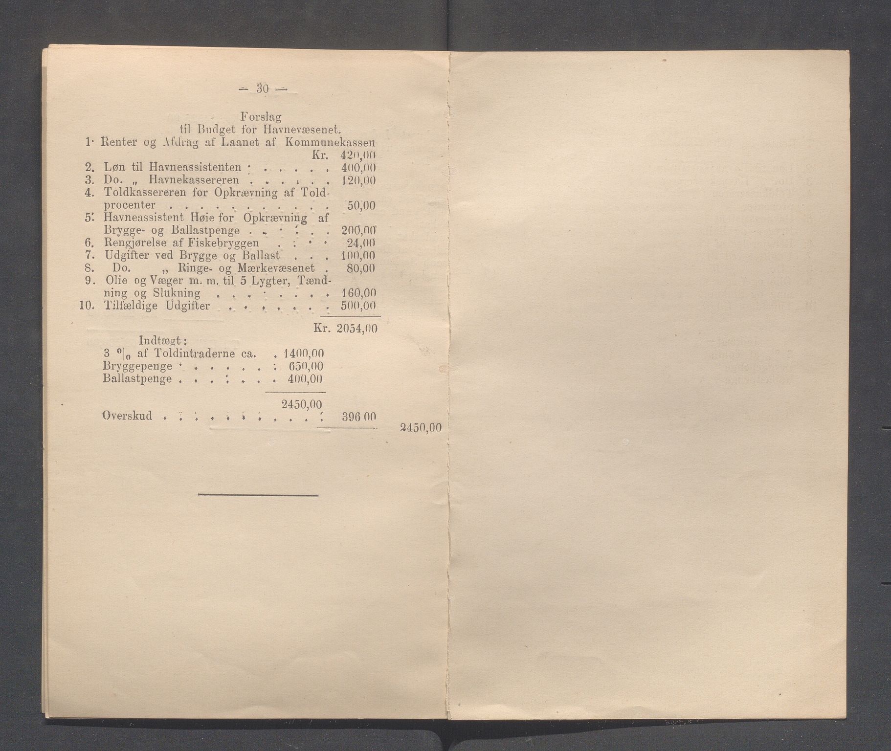 Haugesund kommune - Formannskapet og Bystyret, IKAR/A-740/A/Abb/L0001: Bystyreforhandlinger, 1889-1907, p. 33