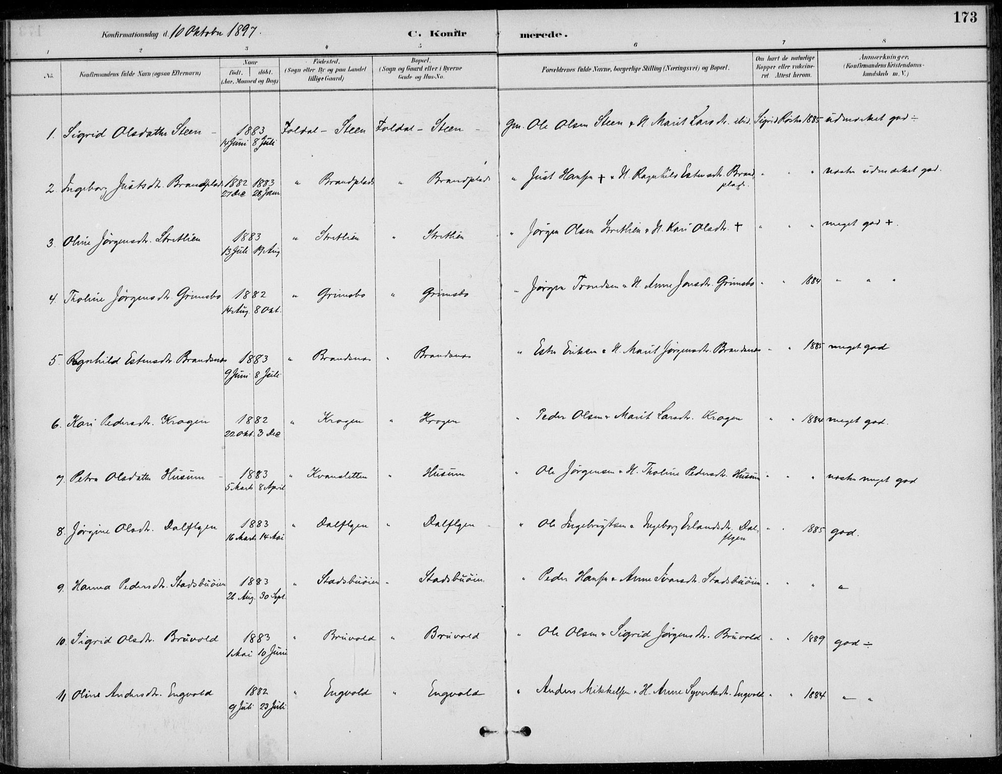 Alvdal prestekontor, AV/SAH-PREST-060/H/Ha/Haa/L0003: Parish register (official) no. 3, 1886-1912, p. 173