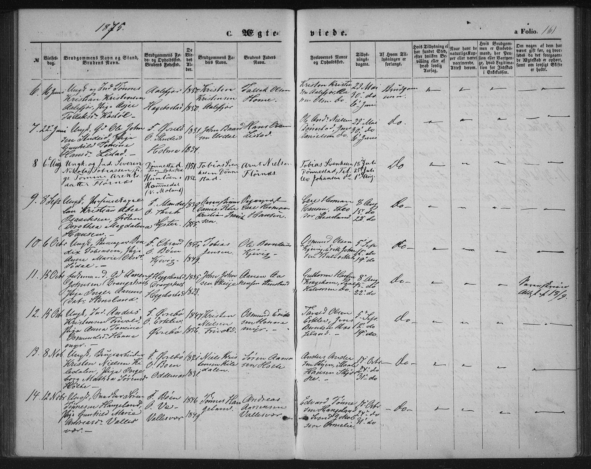 Tveit sokneprestkontor, AV/SAK-1111-0043/F/Fa/L0006: Parish register (official) no. A 6, 1872-1886, p. 161