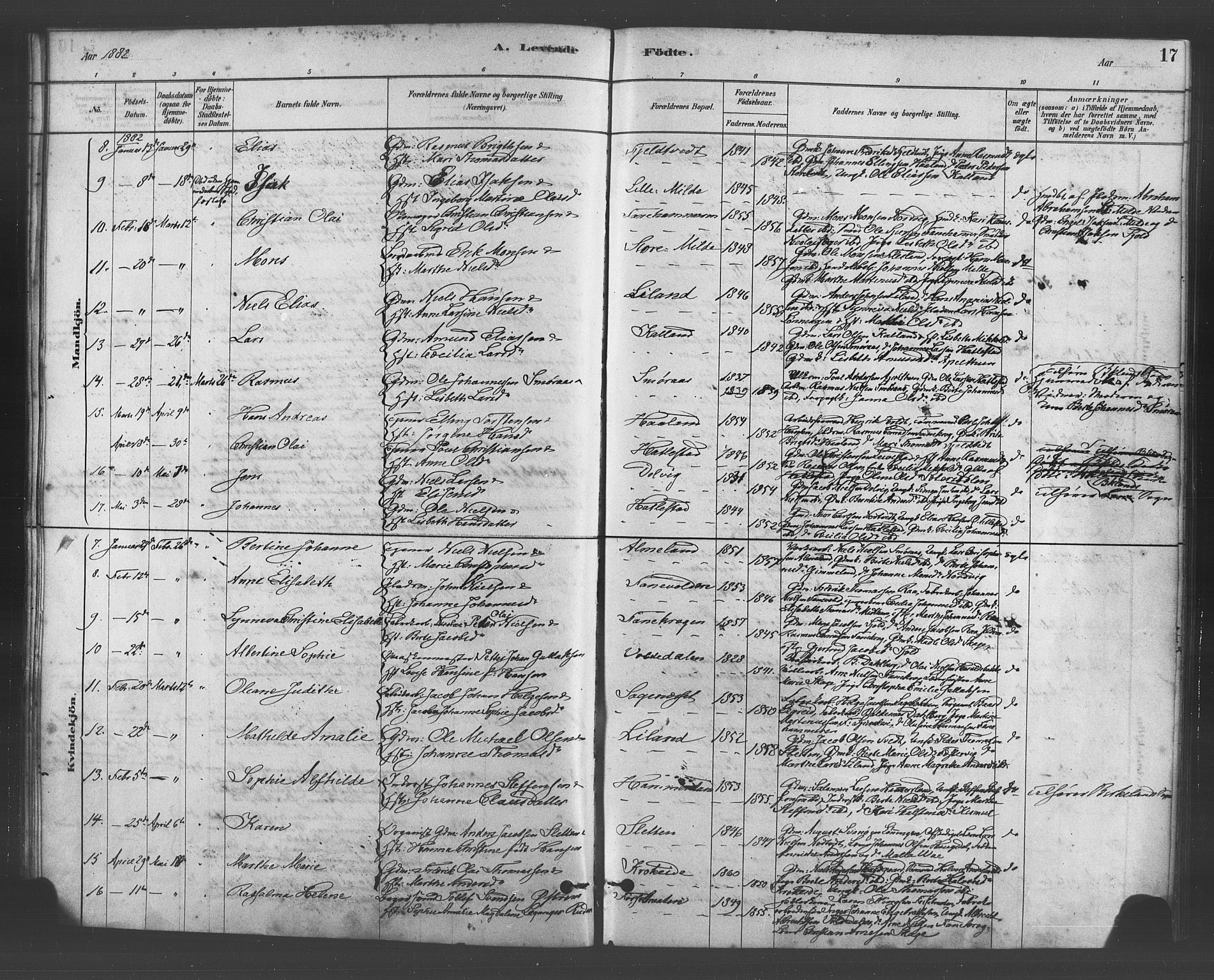 Fana Sokneprestembete, SAB/A-75101/H/Haa/Haab/L0001: Parish register (official) no. B 1, 1878-1889, p. 17