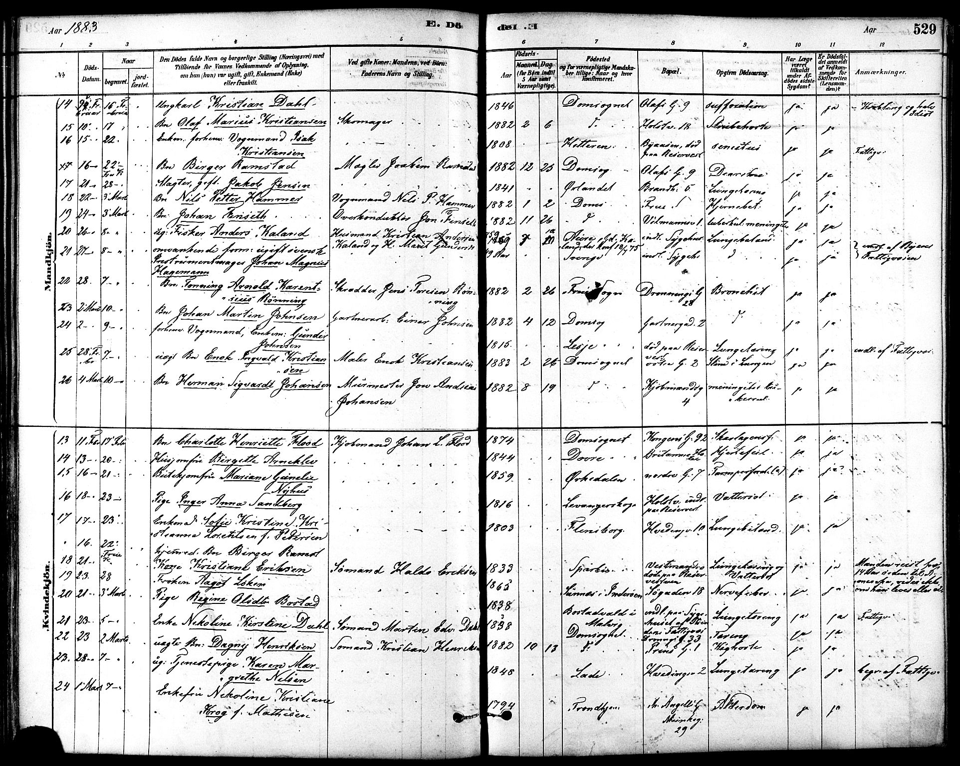 Ministerialprotokoller, klokkerbøker og fødselsregistre - Sør-Trøndelag, AV/SAT-A-1456/601/L0058: Parish register (official) no. 601A26, 1877-1891, p. 529