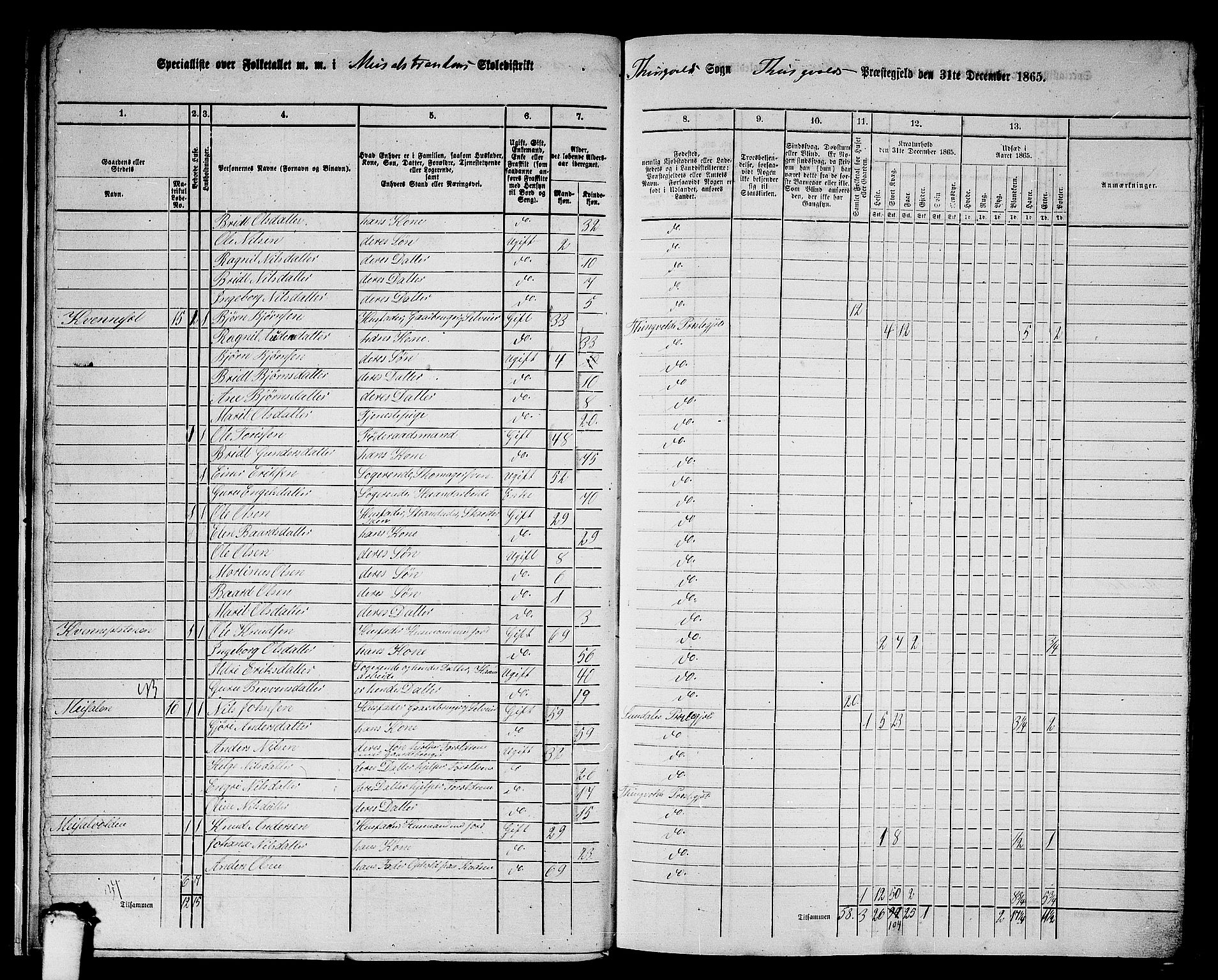 RA, 1865 census for Tingvoll, 1865, p. 15