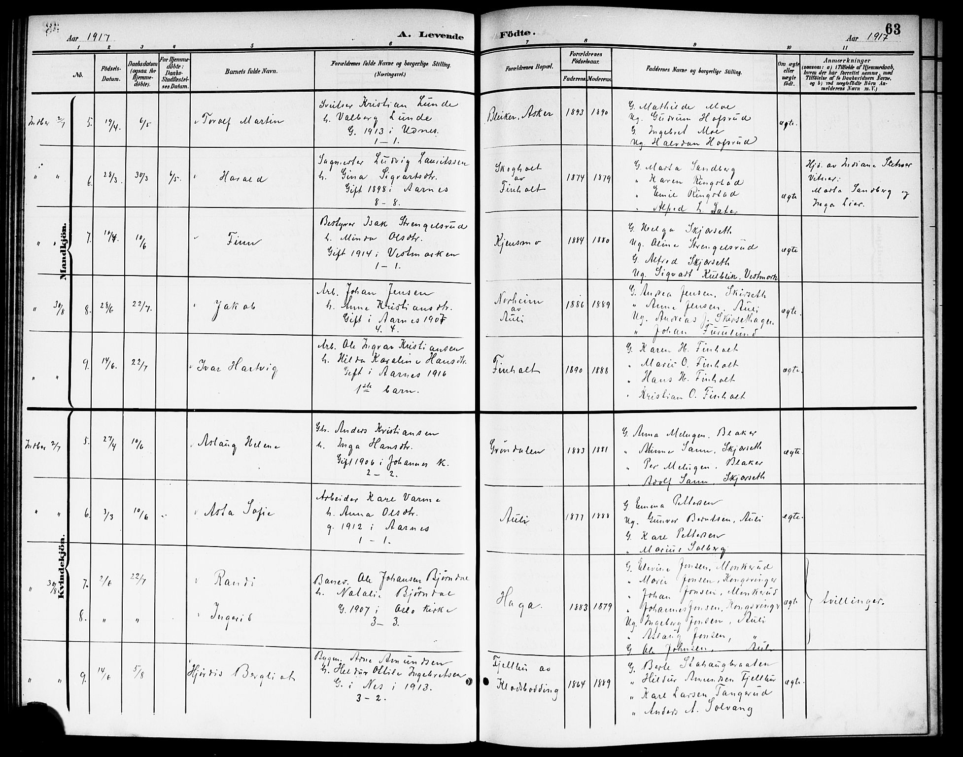 Nes prestekontor Kirkebøker, AV/SAO-A-10410/G/Gb/L0001: Parish register (copy) no. II 1, 1901-1917, p. 63