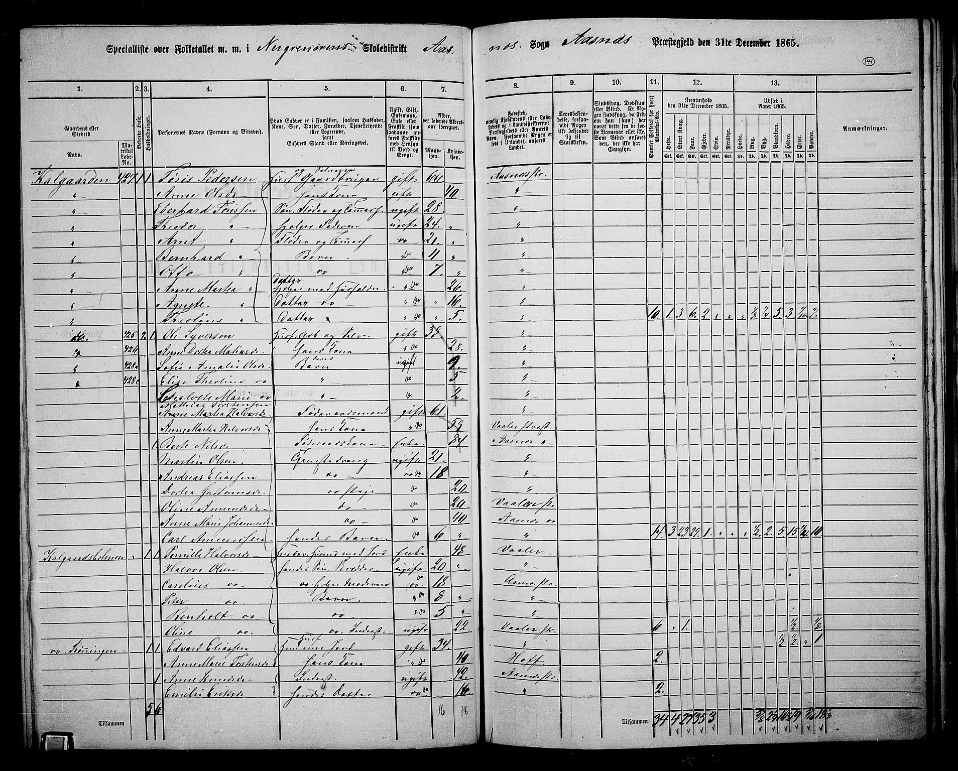 RA, 1865 census for Åsnes, 1865, p. 130