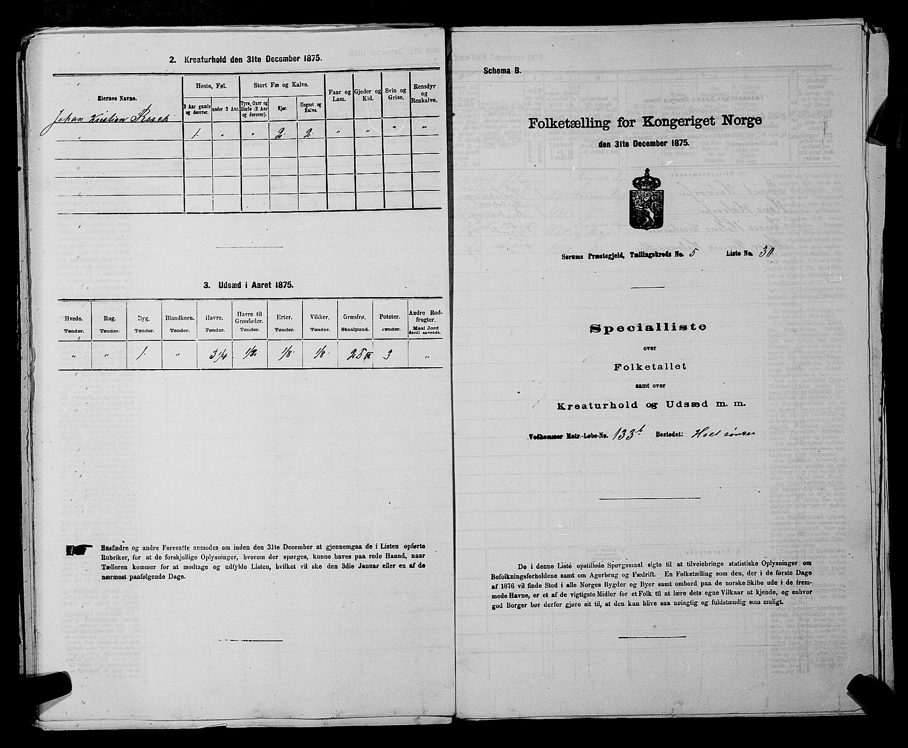 RA, 1875 census for 0226P Sørum, 1875, p. 775