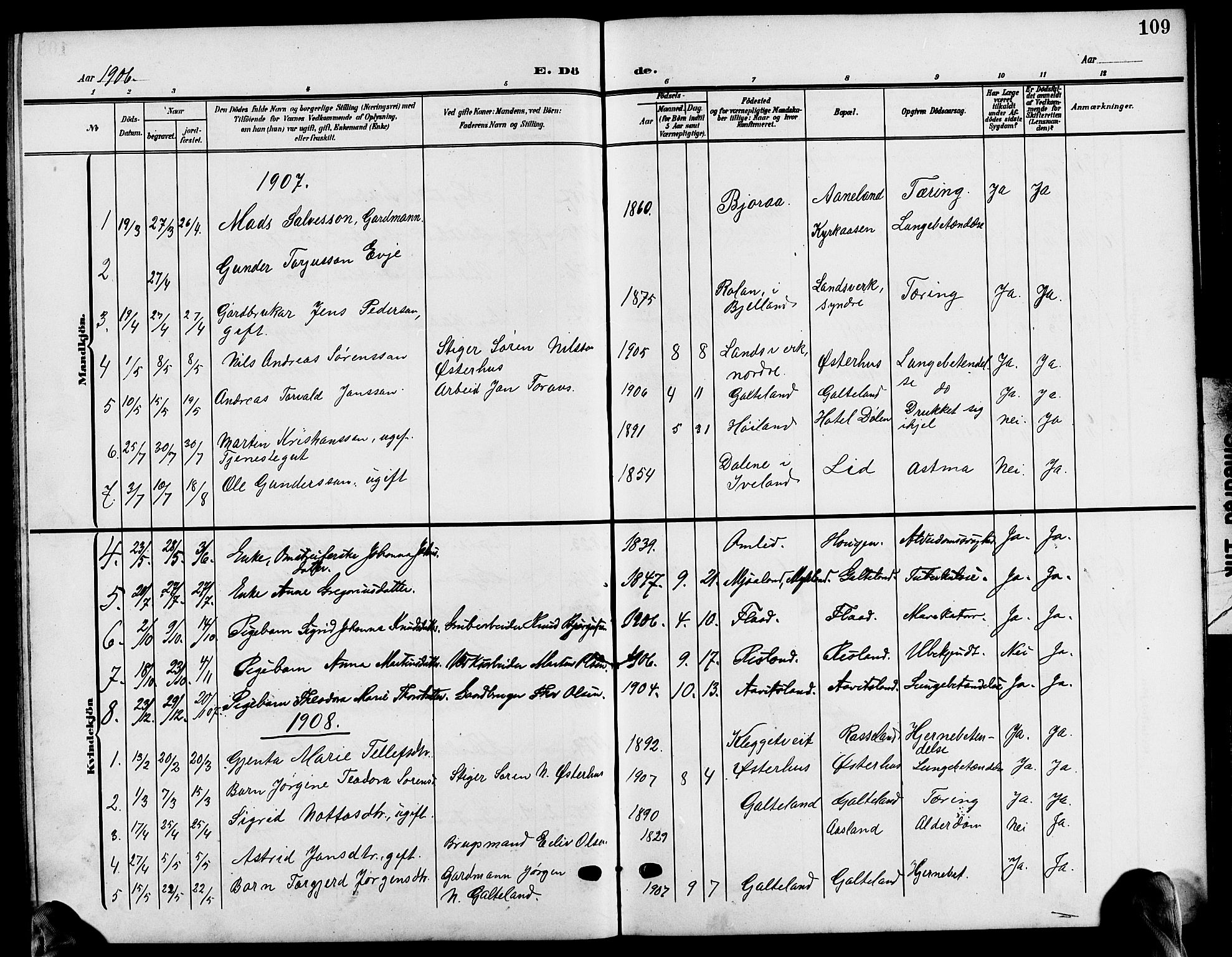 Evje sokneprestkontor, AV/SAK-1111-0008/F/Fb/Fba/L0004: Parish register (copy) no. B 4, 1899-1914, p. 109