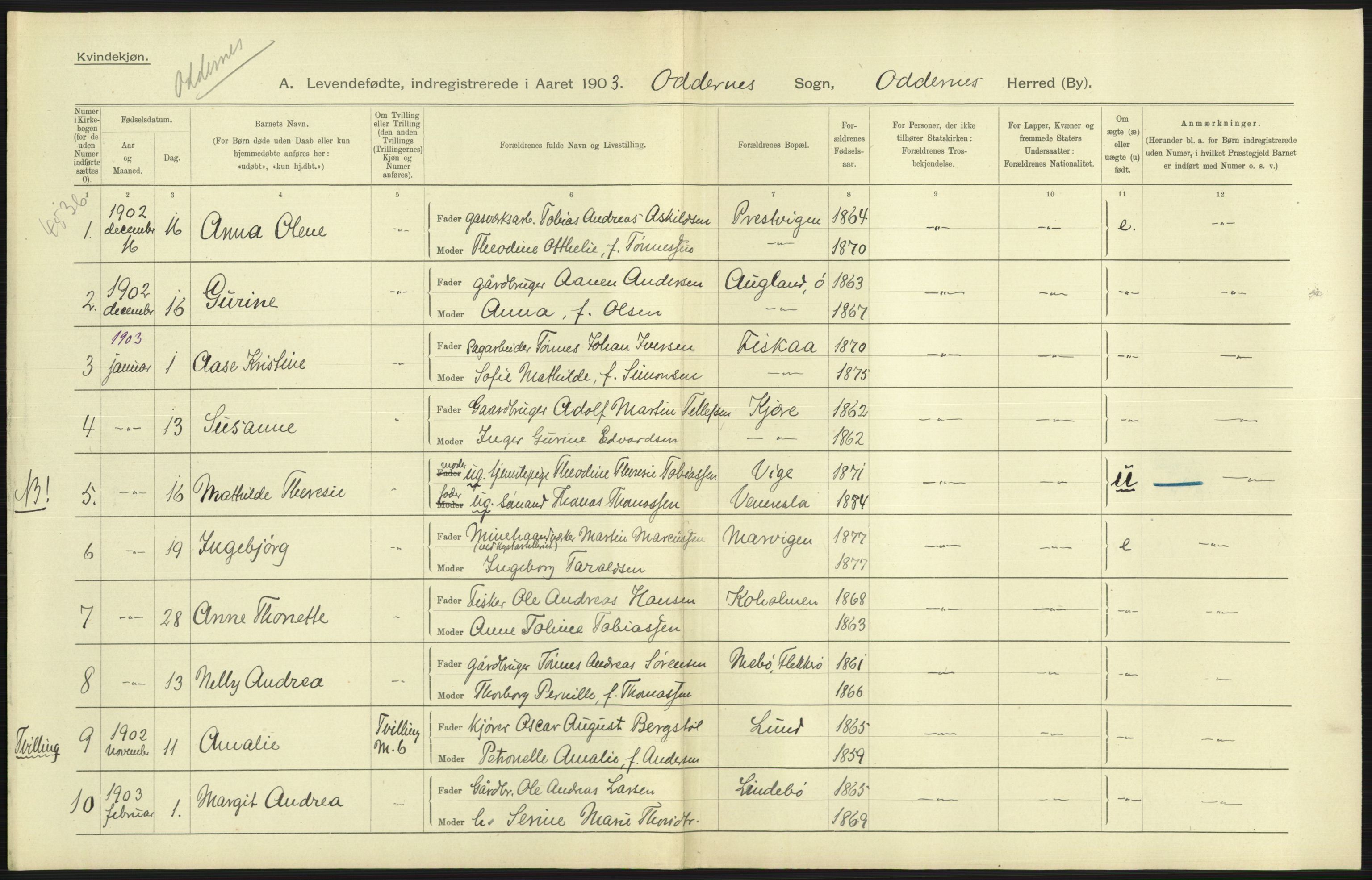 Statistisk sentralbyrå, Sosiodemografiske emner, Befolkning, AV/RA-S-2228/D/Df/Dfa/Dfaa/L0011: Lister og Mandal amt: Fødte, gifte, døde, 1903, p. 193