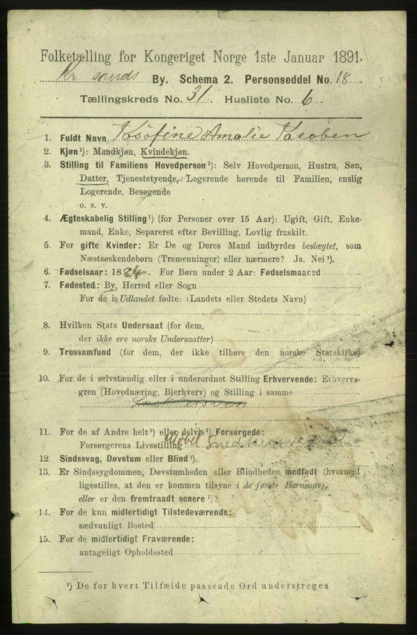 RA, 1891 census for 1001 Kristiansand, 1891, p. 9785