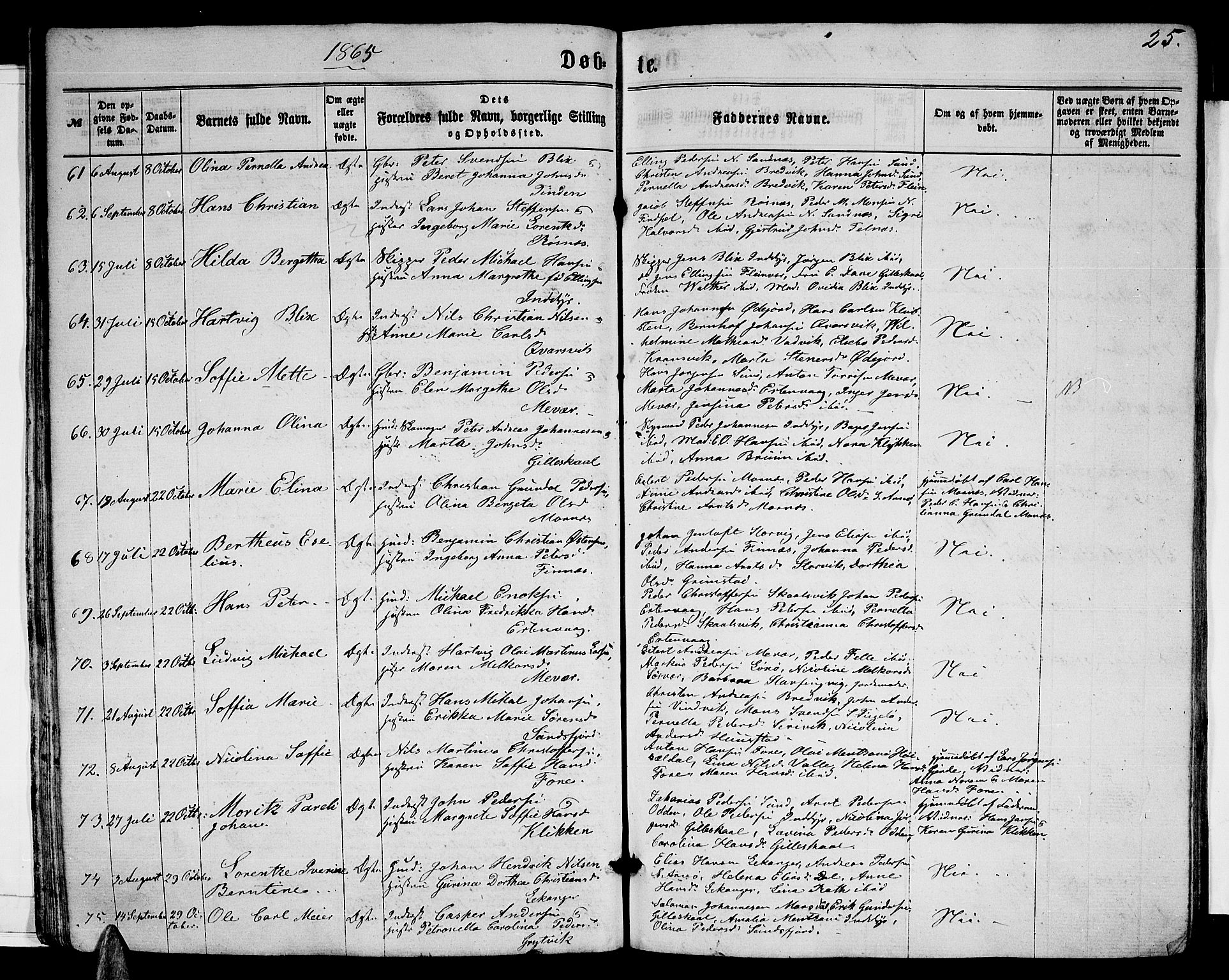 Ministerialprotokoller, klokkerbøker og fødselsregistre - Nordland, SAT/A-1459/805/L0107: Parish register (copy) no. 805C03, 1862-1885, p. 25