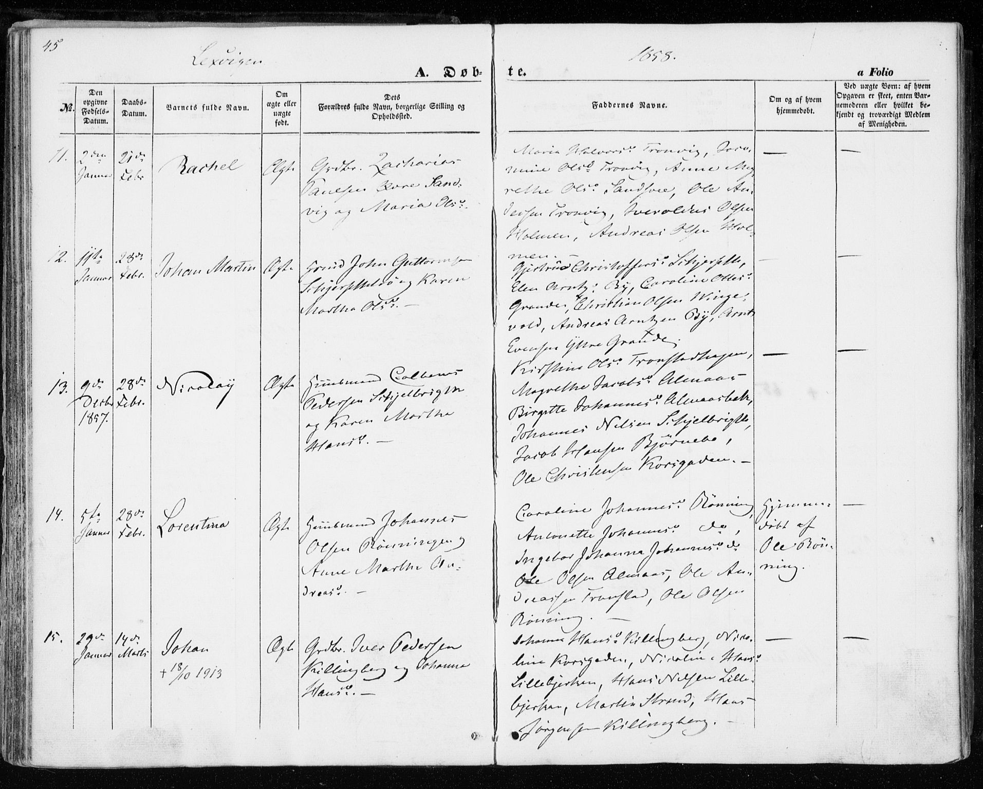 Ministerialprotokoller, klokkerbøker og fødselsregistre - Nord-Trøndelag, AV/SAT-A-1458/701/L0008: Parish register (official) no. 701A08 /1, 1854-1863, p. 45