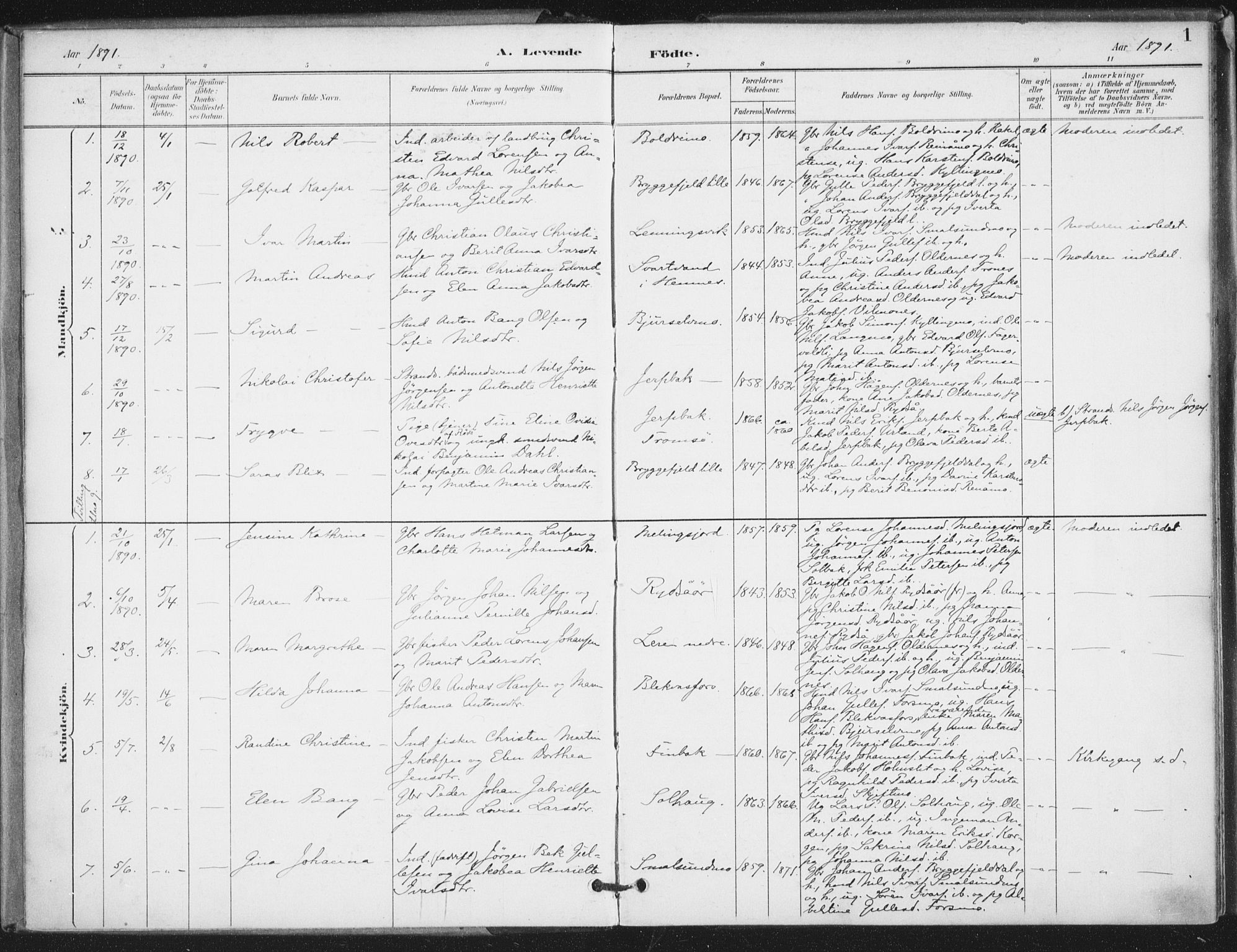 Ministerialprotokoller, klokkerbøker og fødselsregistre - Nordland, AV/SAT-A-1459/826/L0380: Parish register (official) no. 826A03, 1891-1911, p. 1