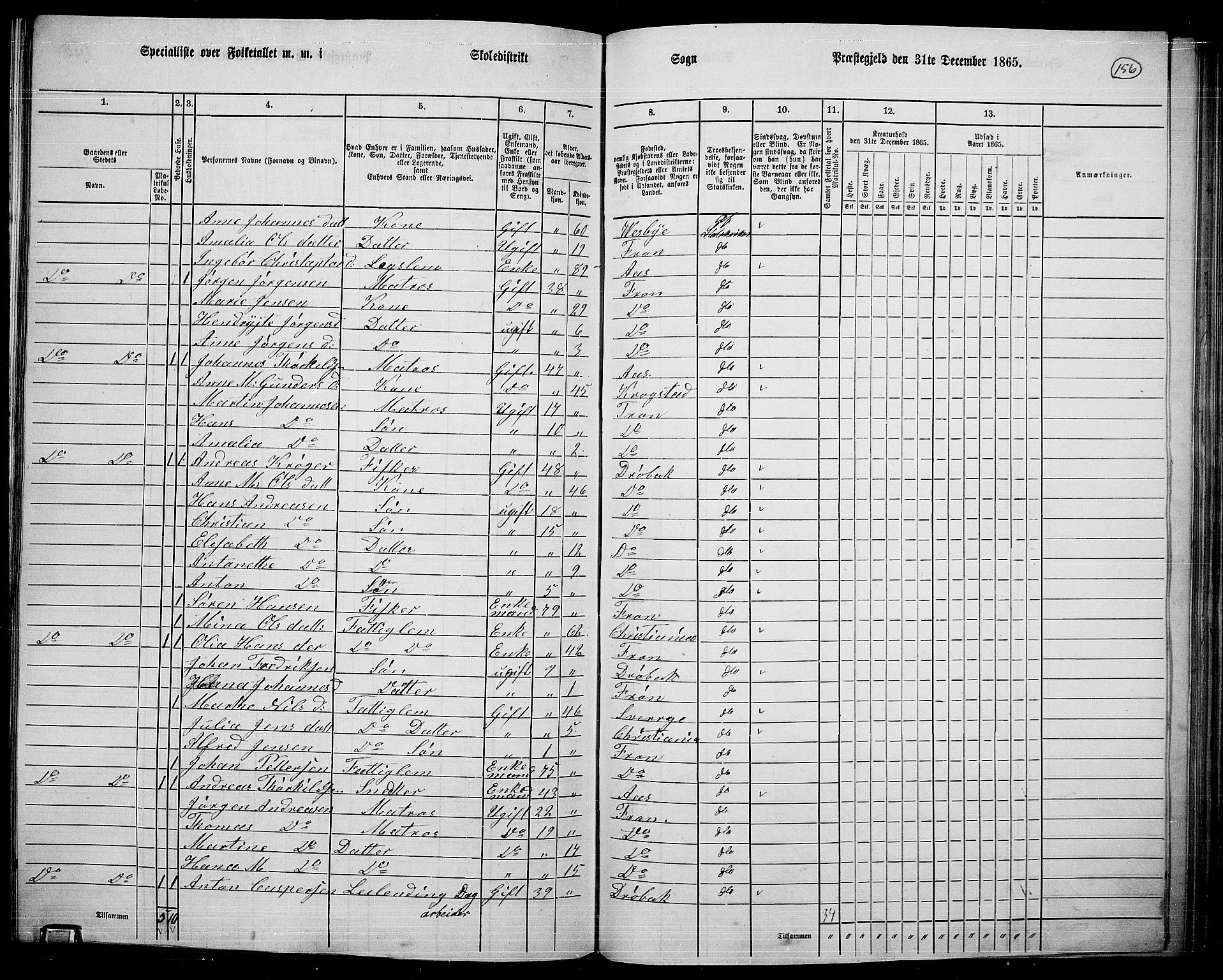 RA, 1865 census for Drøbak/Frogn, 1865, p. 15
