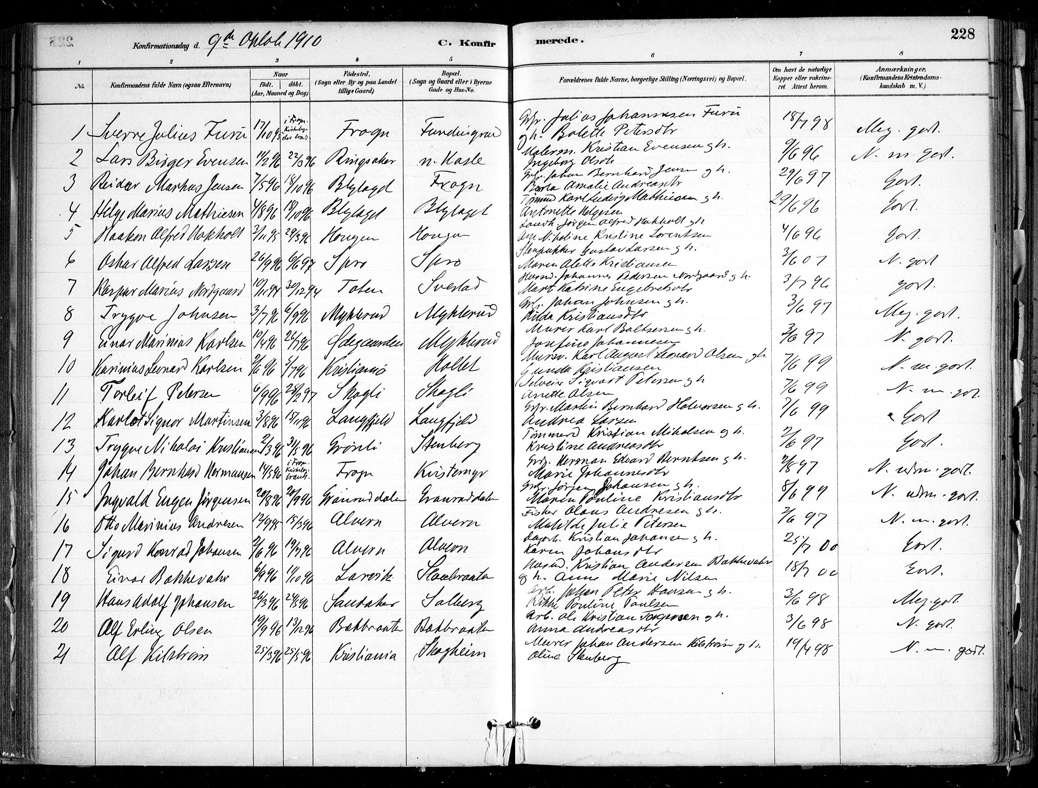 Nesodden prestekontor Kirkebøker, SAO/A-10013/F/Fa/L0009: Parish register (official) no. I 9, 1880-1915, p. 228