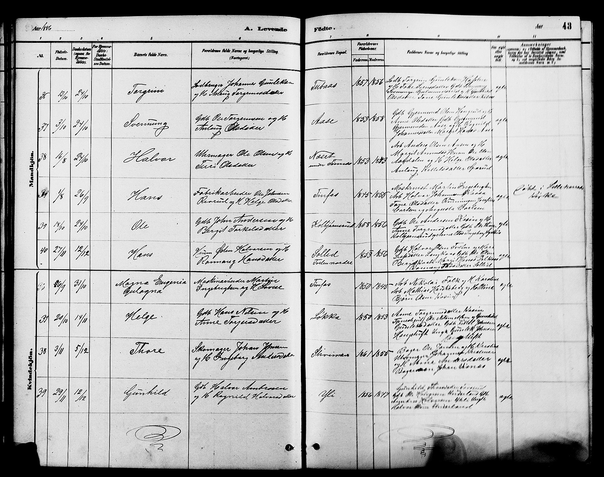 Heddal kirkebøker, SAKO/A-268/G/Ga/L0002: Parish register (copy) no. I 2, 1879-1908, p. 43