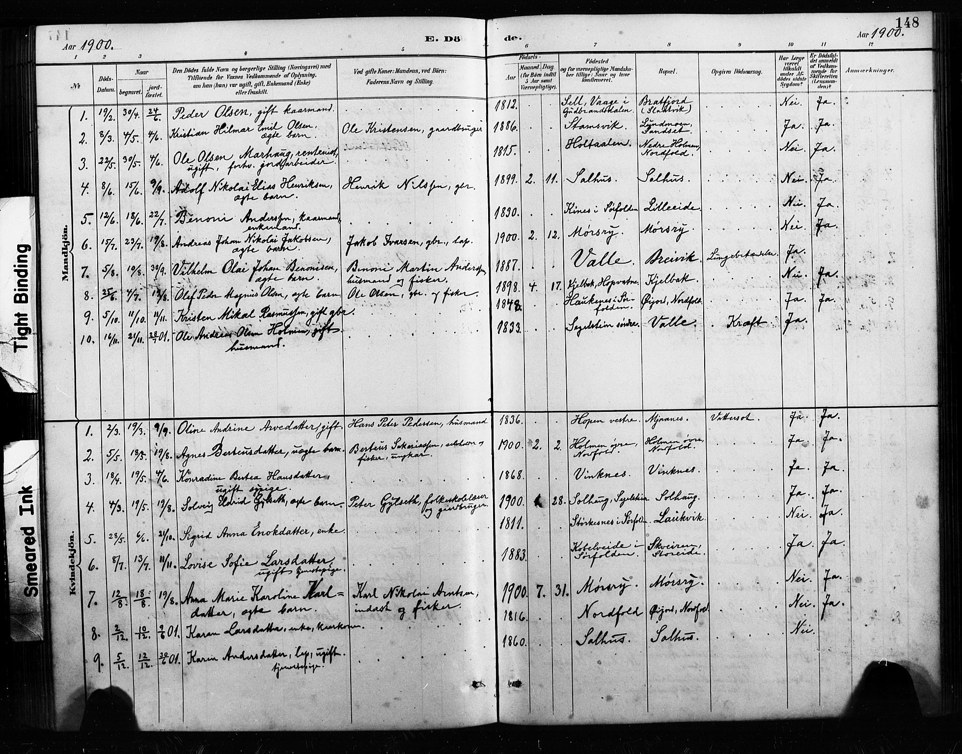 Ministerialprotokoller, klokkerbøker og fødselsregistre - Nordland, AV/SAT-A-1459/858/L0834: Parish register (copy) no. 858C01, 1884-1904, p. 148