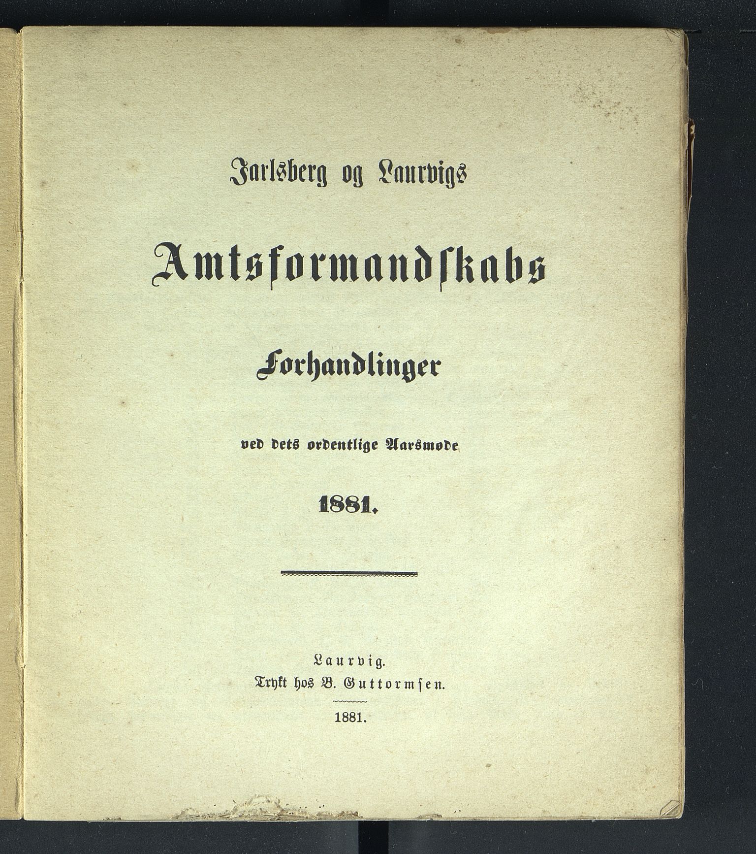 Vestfold fylkeskommune. Fylkestinget, VEMU/A-1315/A/Ab/Abb/L0028: Fylkestingsforhandlinger, 1881