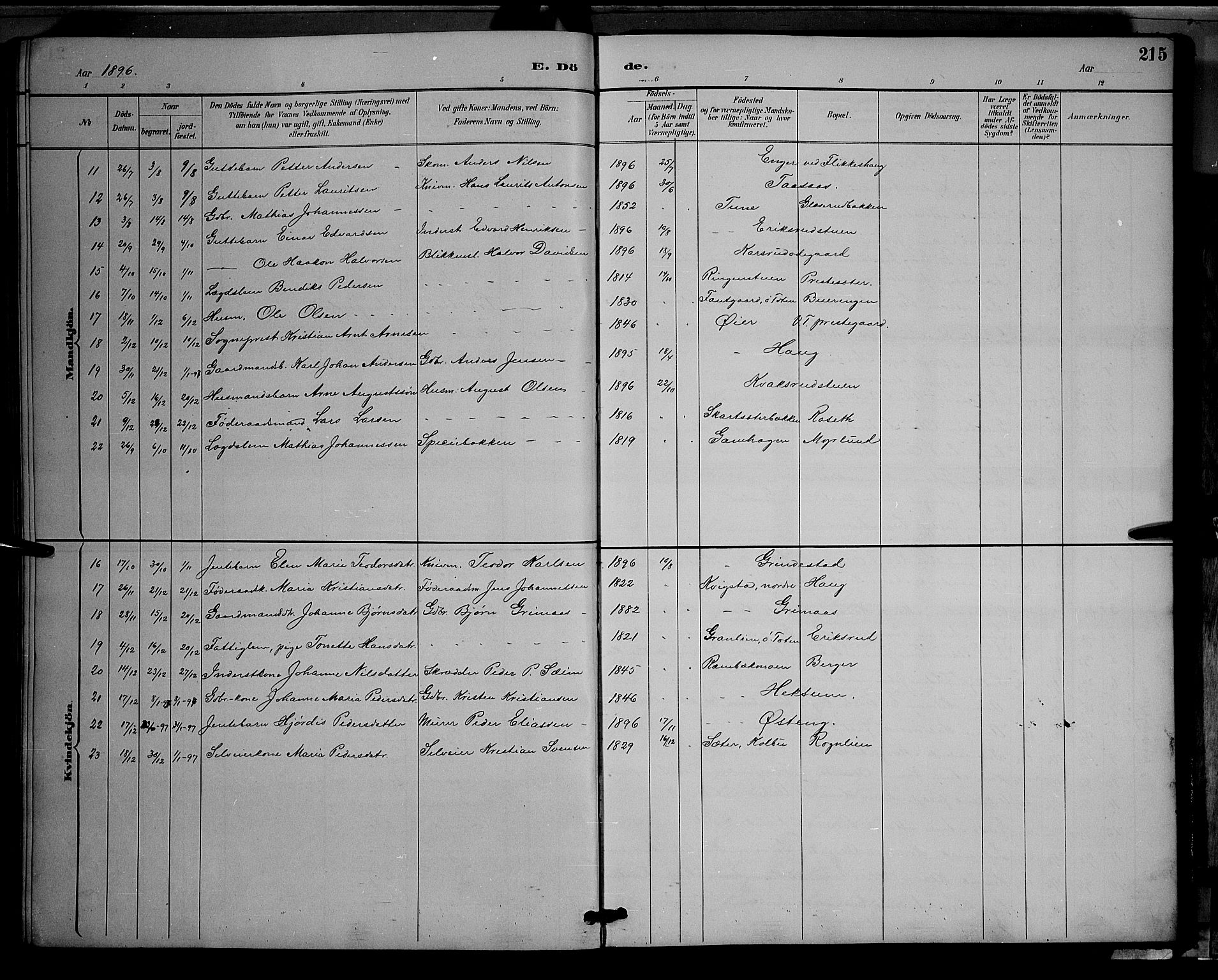 Vestre Toten prestekontor, SAH/PREST-108/H/Ha/Hab/L0009: Parish register (copy) no. 9, 1888-1900, p. 215