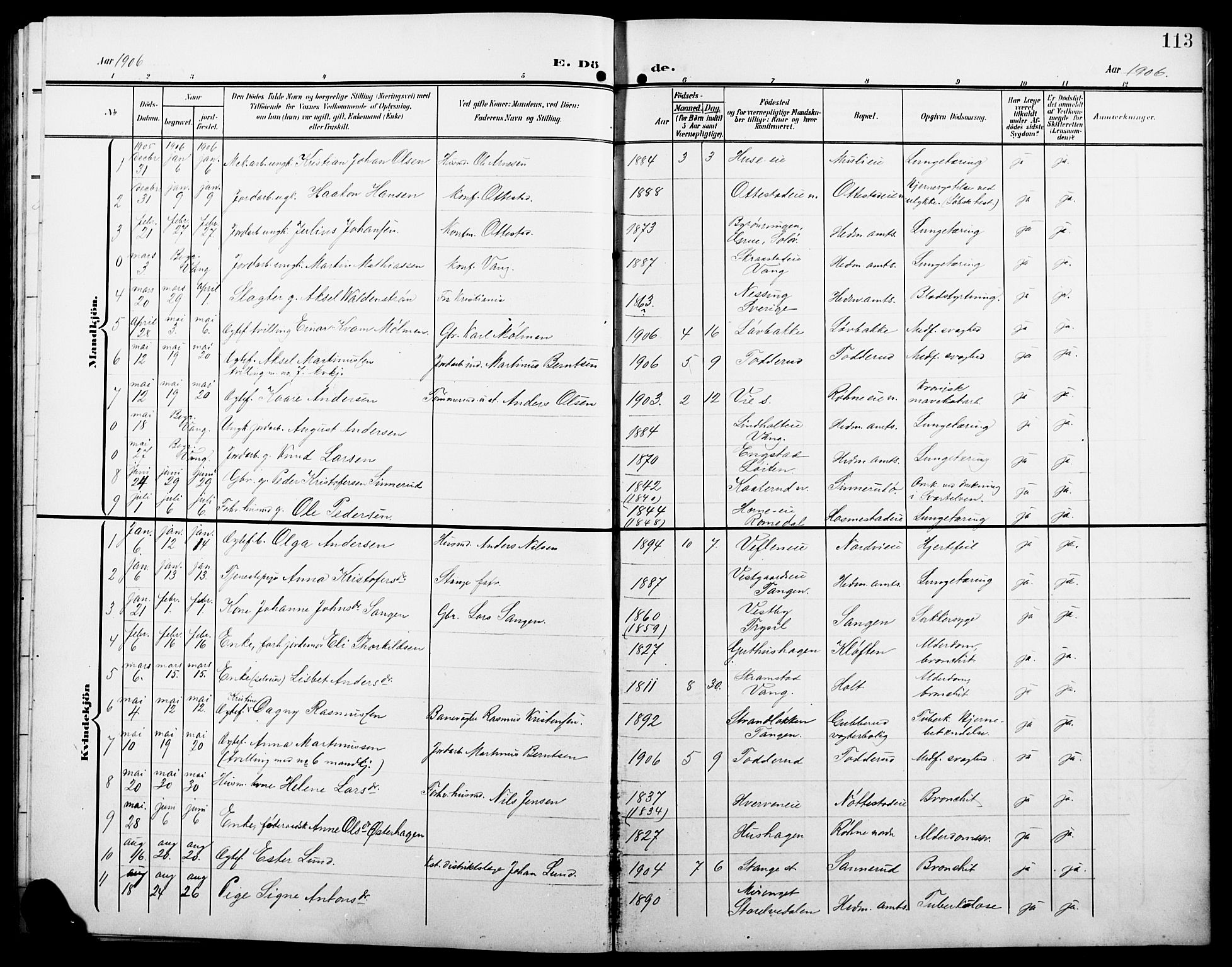 Stange prestekontor, SAH/PREST-002/L/L0013: Parish register (copy) no. 13, 1906-1915, p. 113