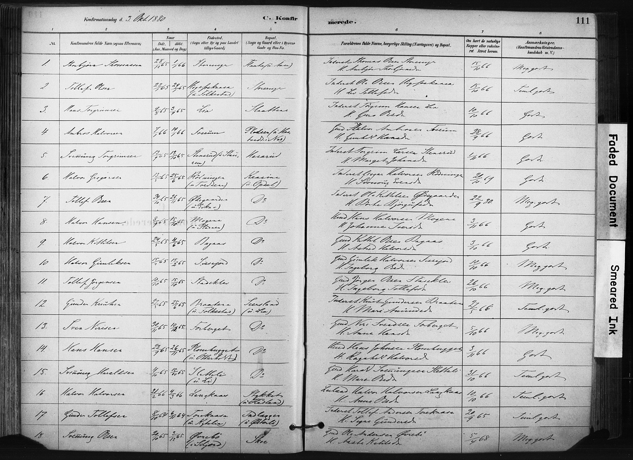 Bø kirkebøker, SAKO/A-257/F/Fa/L0010: Parish register (official) no. 10, 1880-1892, p. 111
