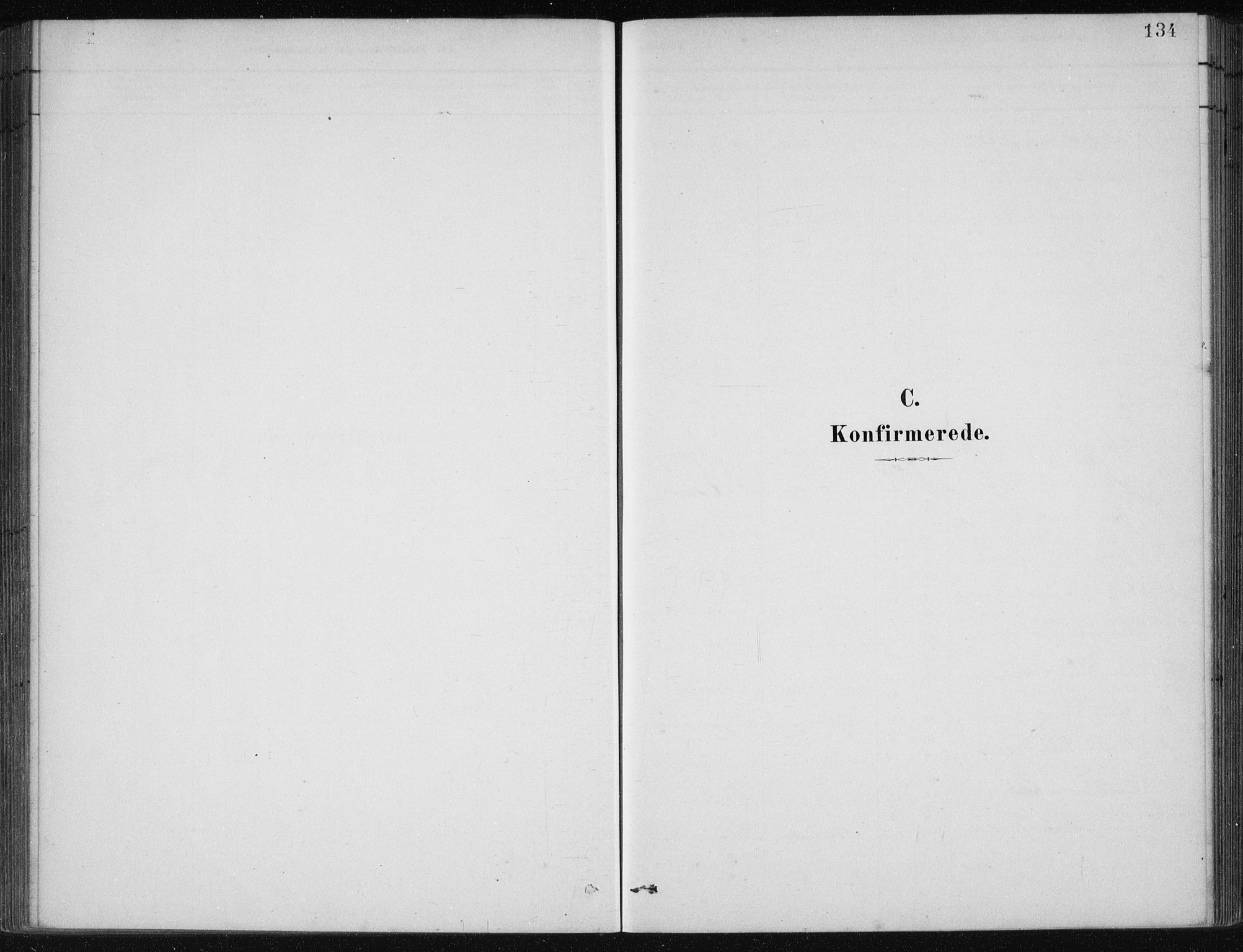 Etne sokneprestembete, SAB/A-75001/H/Haa: Parish register (official) no. C  1, 1879-1919, p. 134