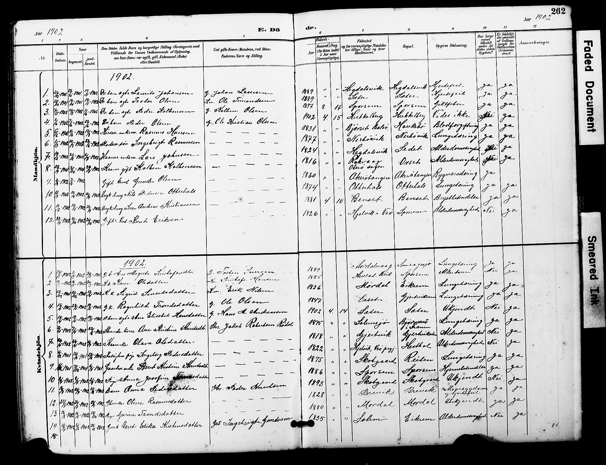 Ministerialprotokoller, klokkerbøker og fødselsregistre - Møre og Romsdal, AV/SAT-A-1454/560/L0725: Parish register (copy) no. 560C02, 1895-1930, p. 262