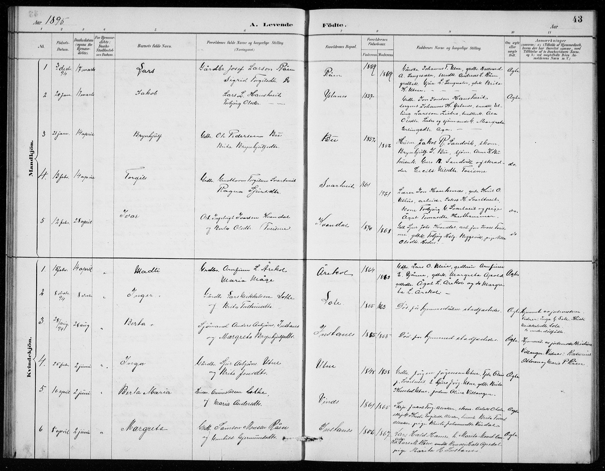 Ullensvang sokneprestembete, SAB/A-78701/H/Hab: Parish register (copy) no. E  7, 1887-1929, p. 43