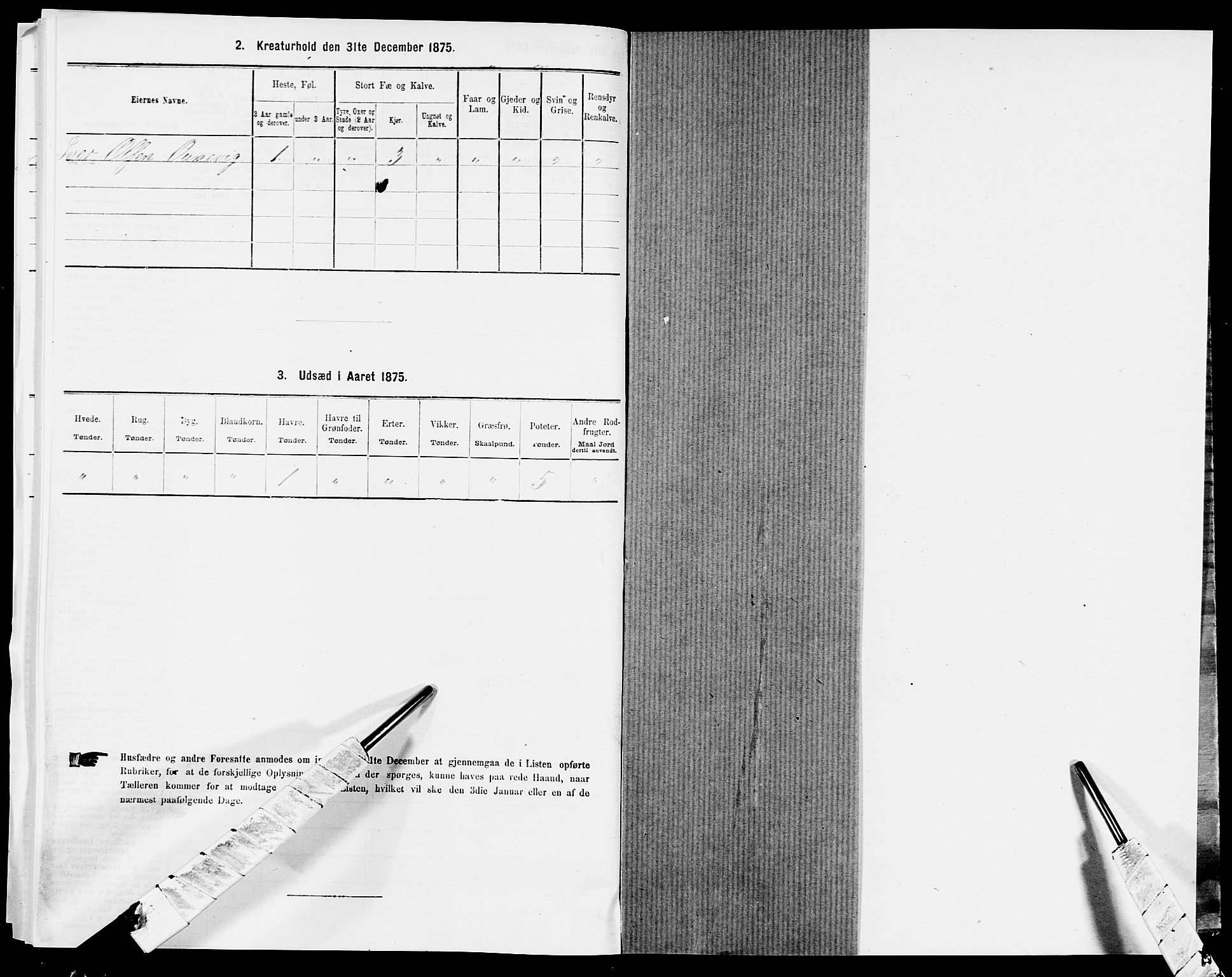 SAK, 1875 census for 1032P Lyngdal, 1875, p. 814