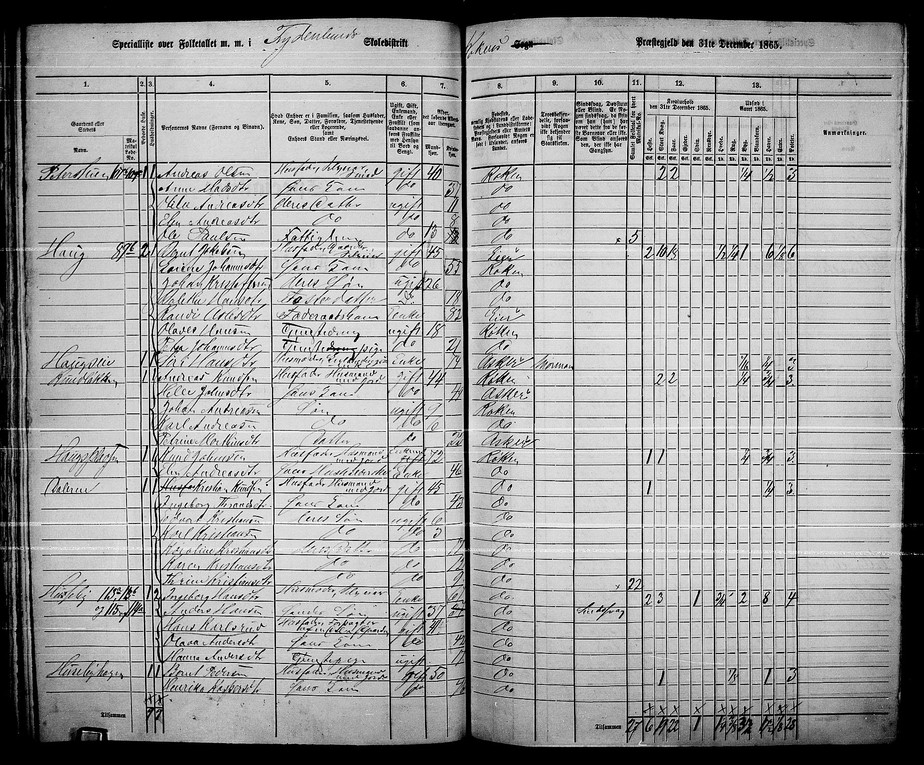 RA, 1865 census for Røyken, 1865, p. 78