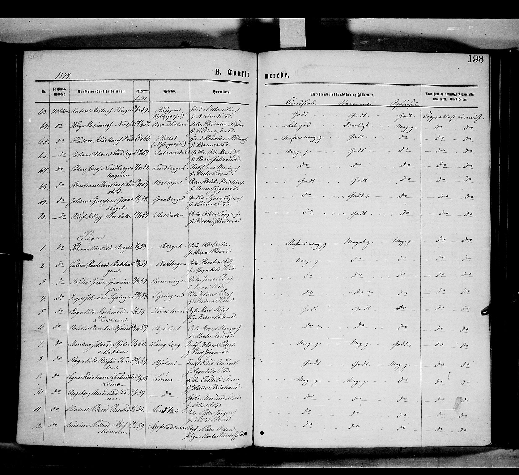 Elverum prestekontor, AV/SAH-PREST-044/H/Ha/Haa/L0011: Parish register (official) no. 11, 1869-1879, p. 193