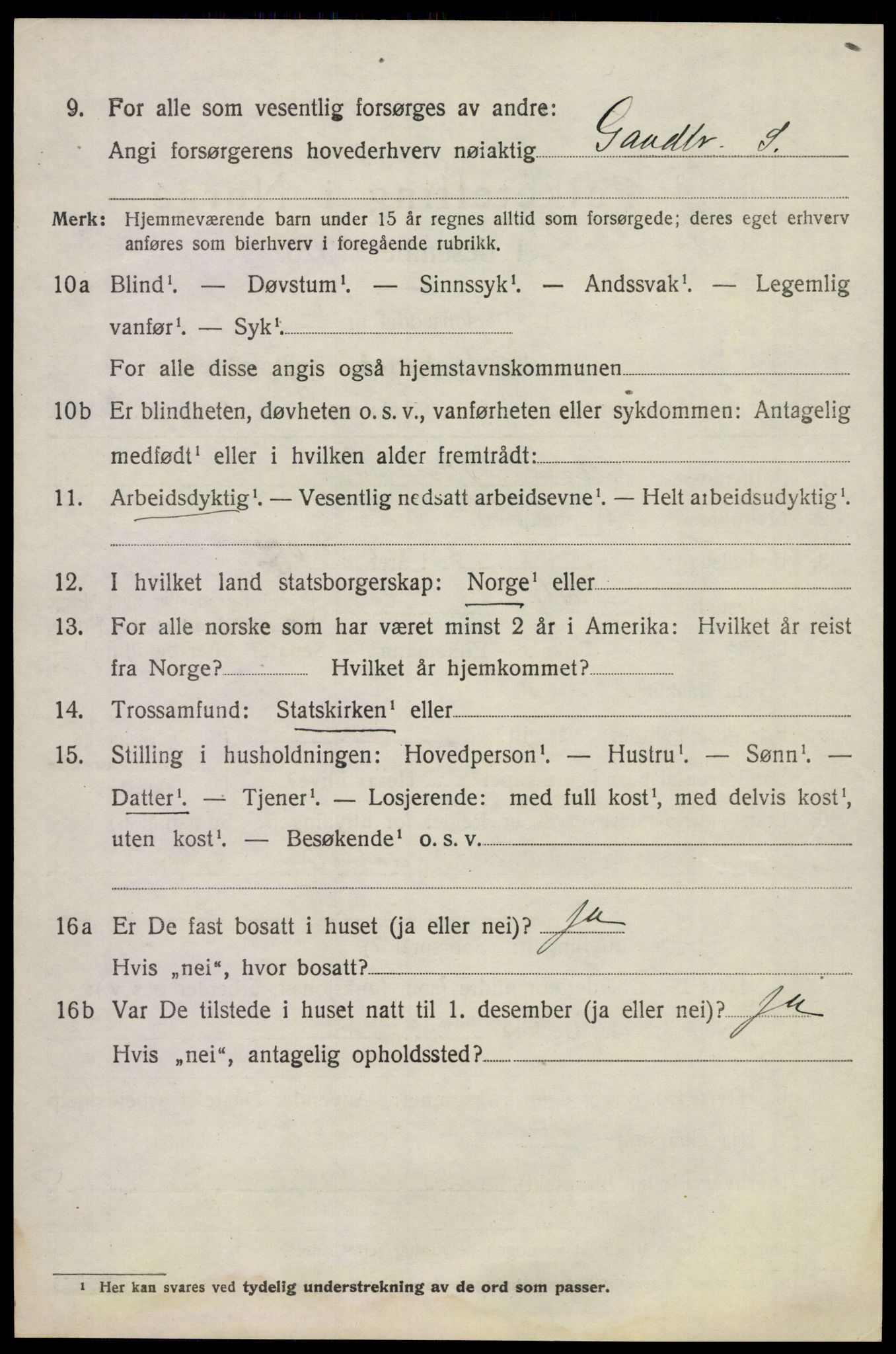 SAKO, 1920 census for Våle, 1920, p. 4153