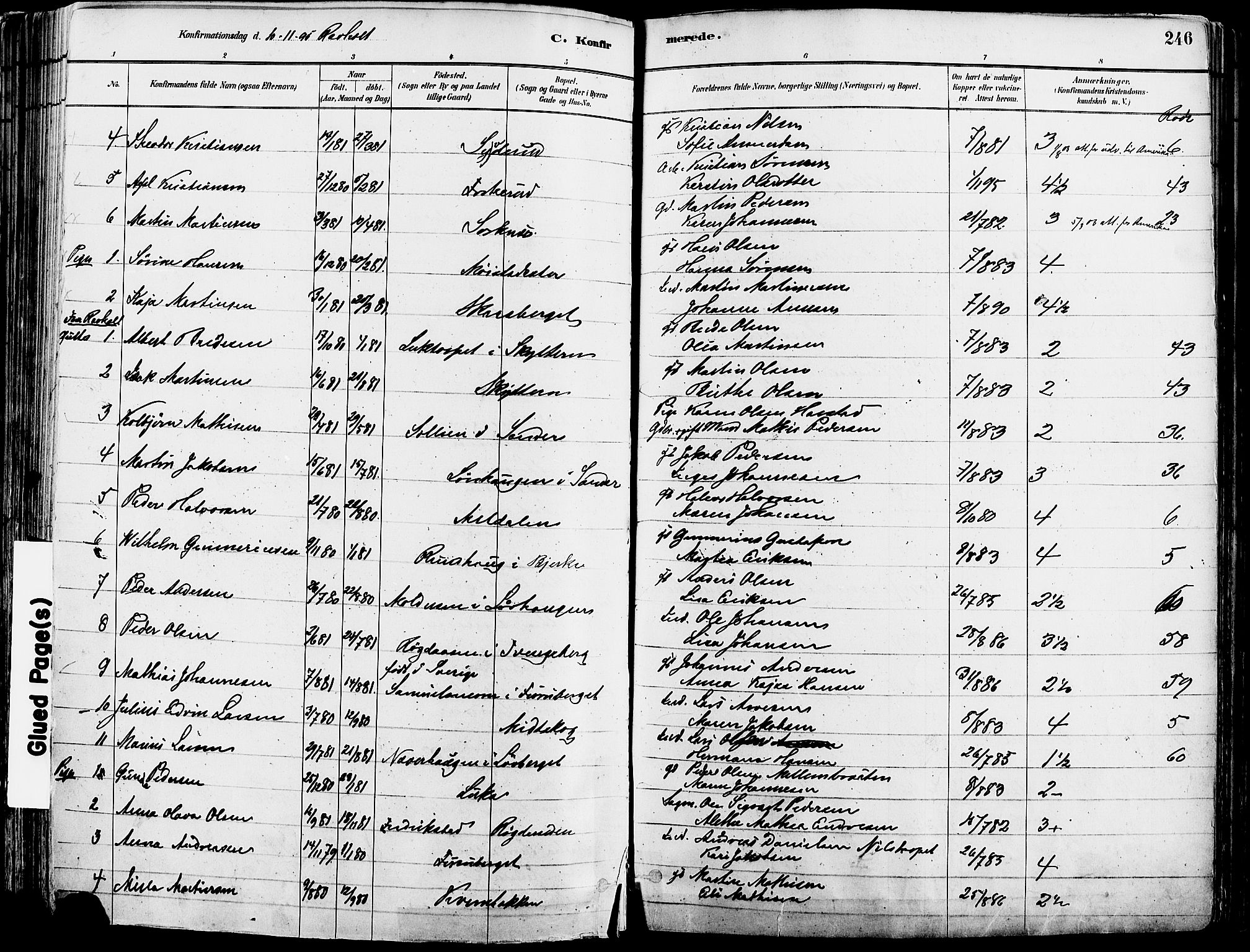 Grue prestekontor, AV/SAH-PREST-036/H/Ha/Haa/L0012: Parish register (official) no. 12, 1881-1897, p. 246