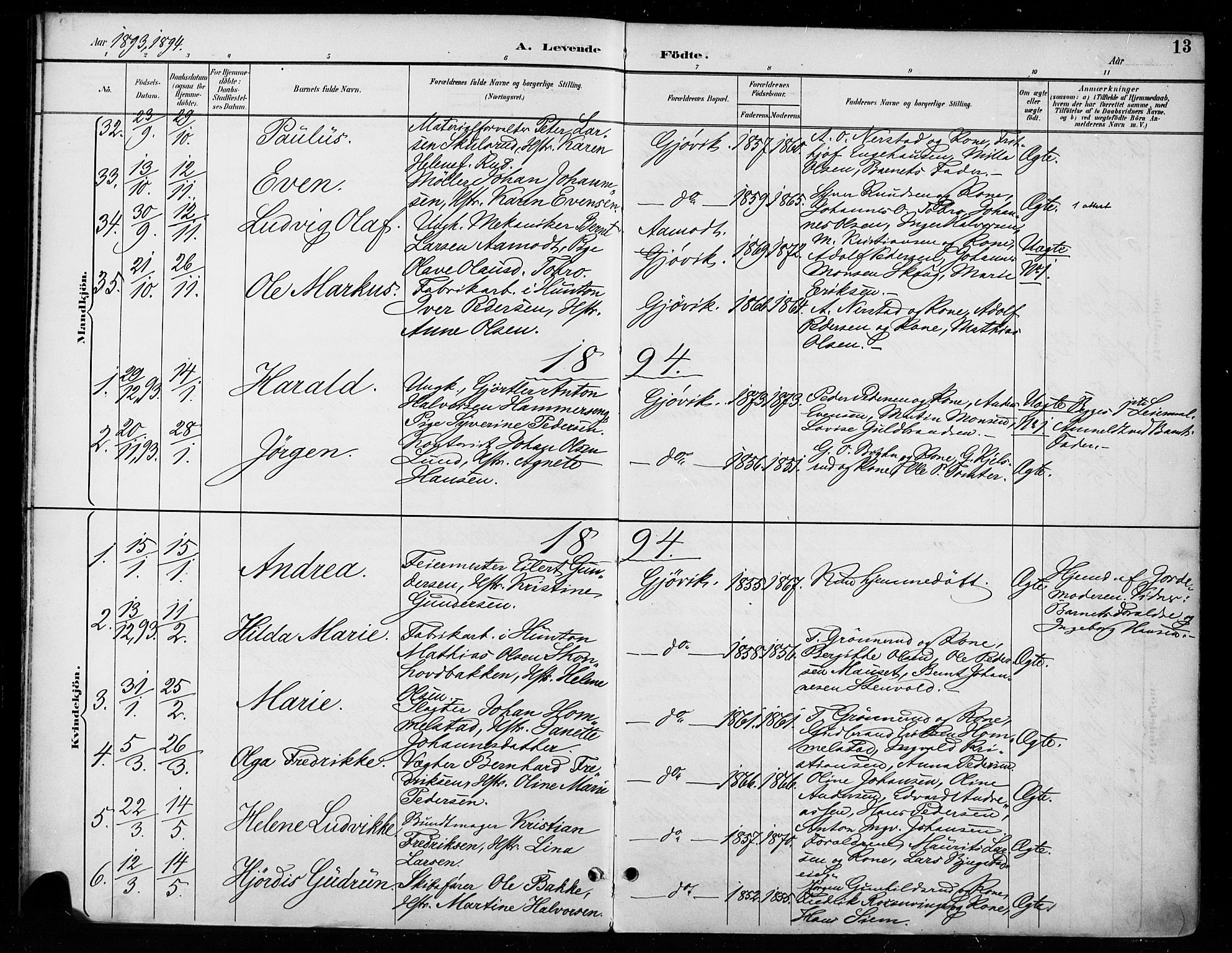 Vardal prestekontor, SAH/PREST-100/H/Ha/Haa/L0011: Parish register (official) no. 11, 1891-1901, p. 13